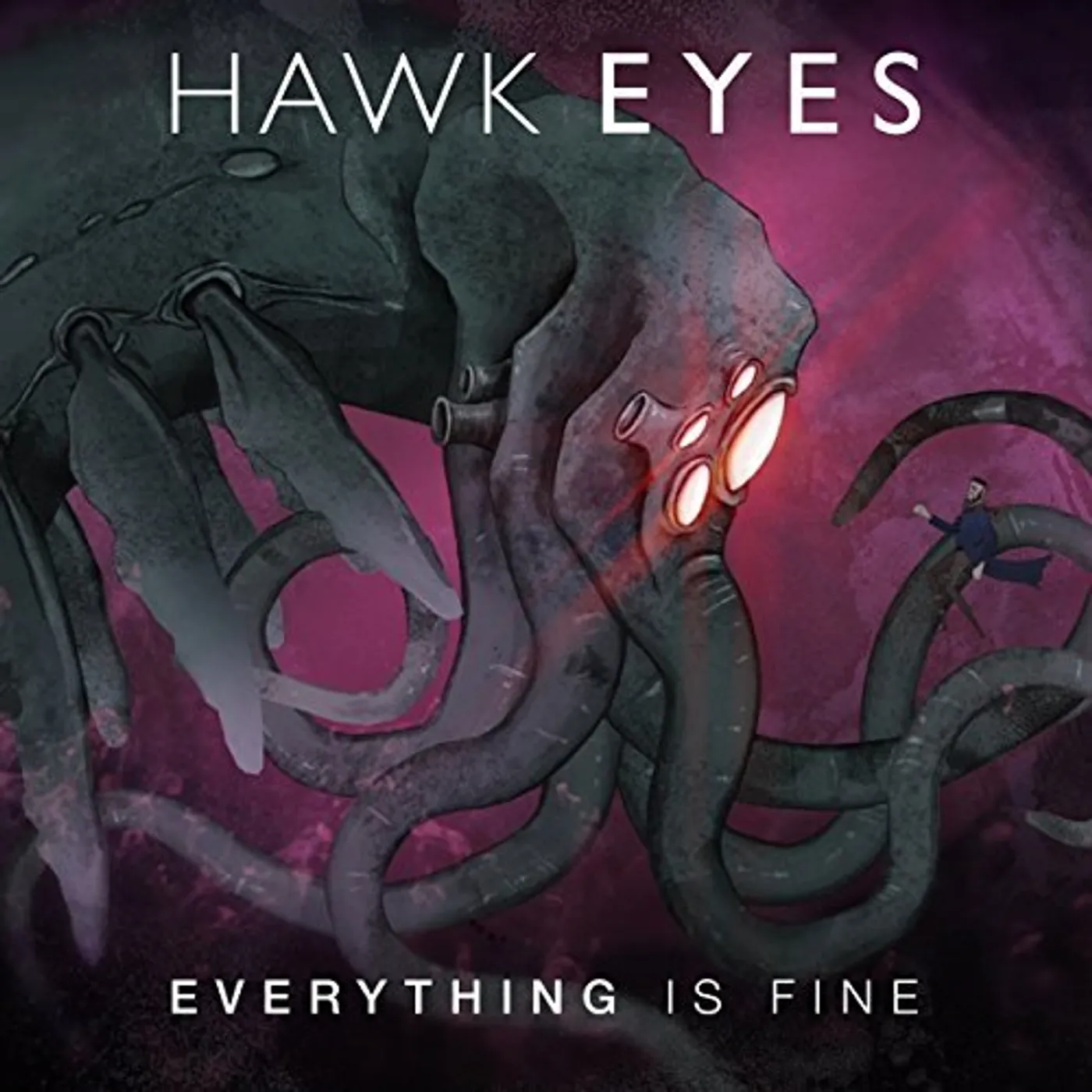 Hawk Eyes EVERYTHING IS FINE CD