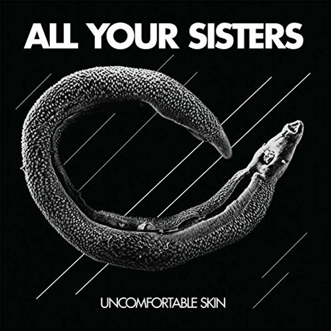All Your Sisters Uncomfortable Skin Vinyl Record