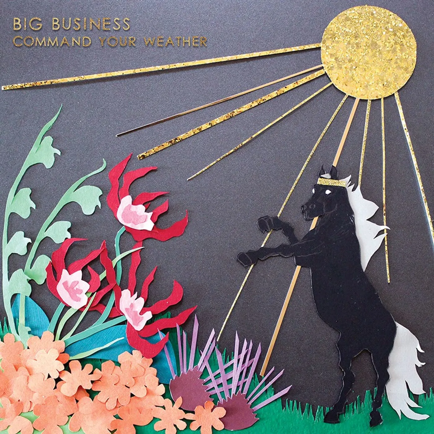 Big Business Command Your Weather Vinyl Record