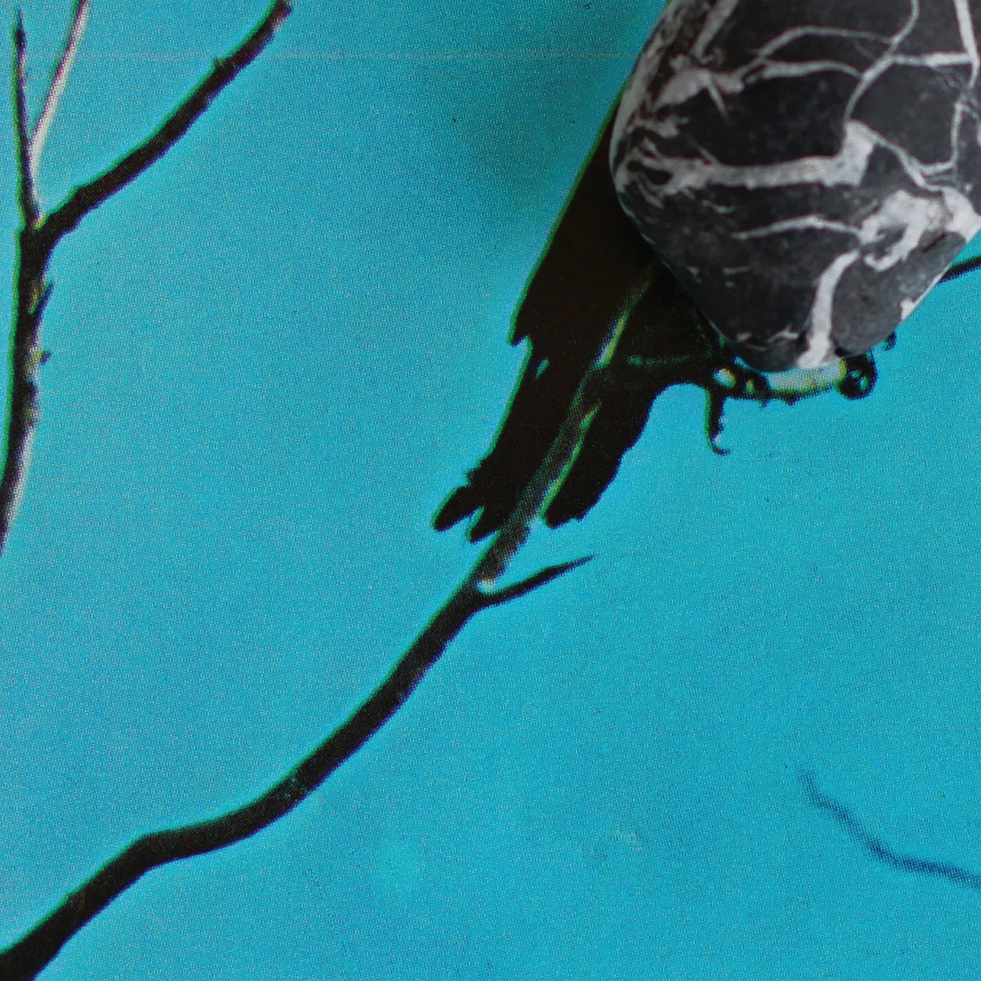 Tangents STATELESS CD