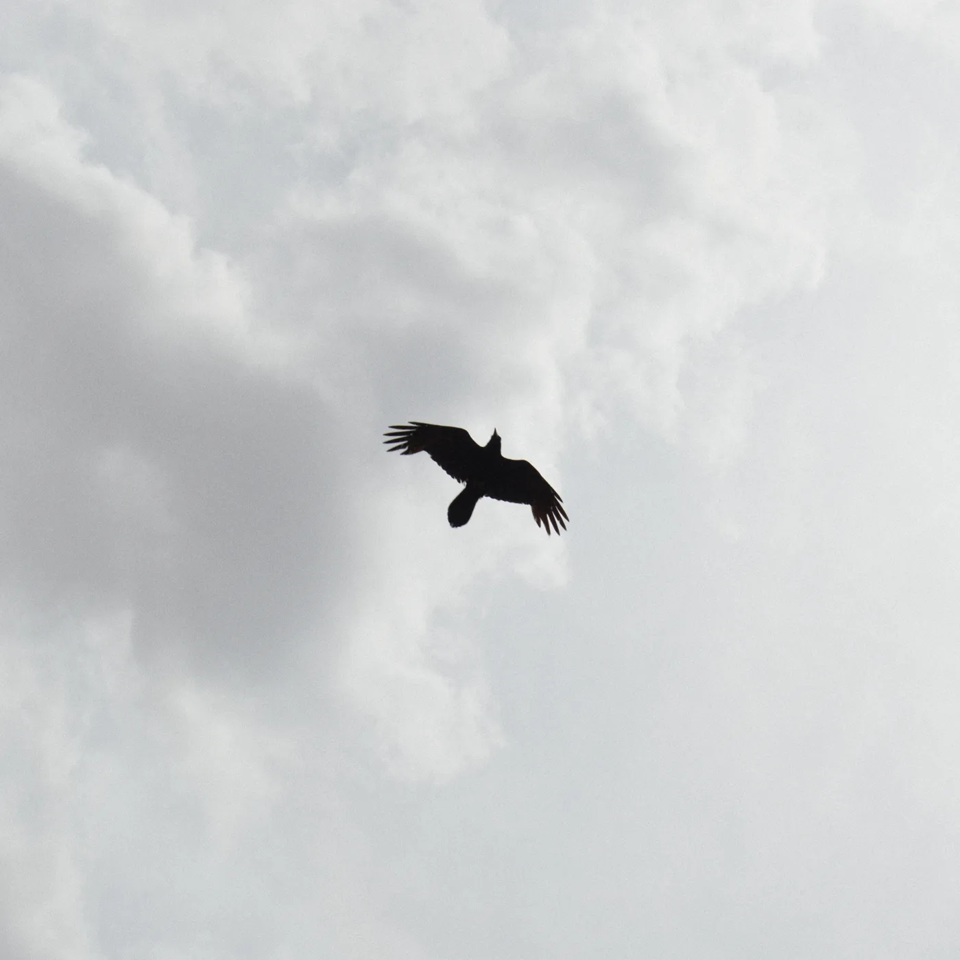 Moon Bros. THESE STARS CD