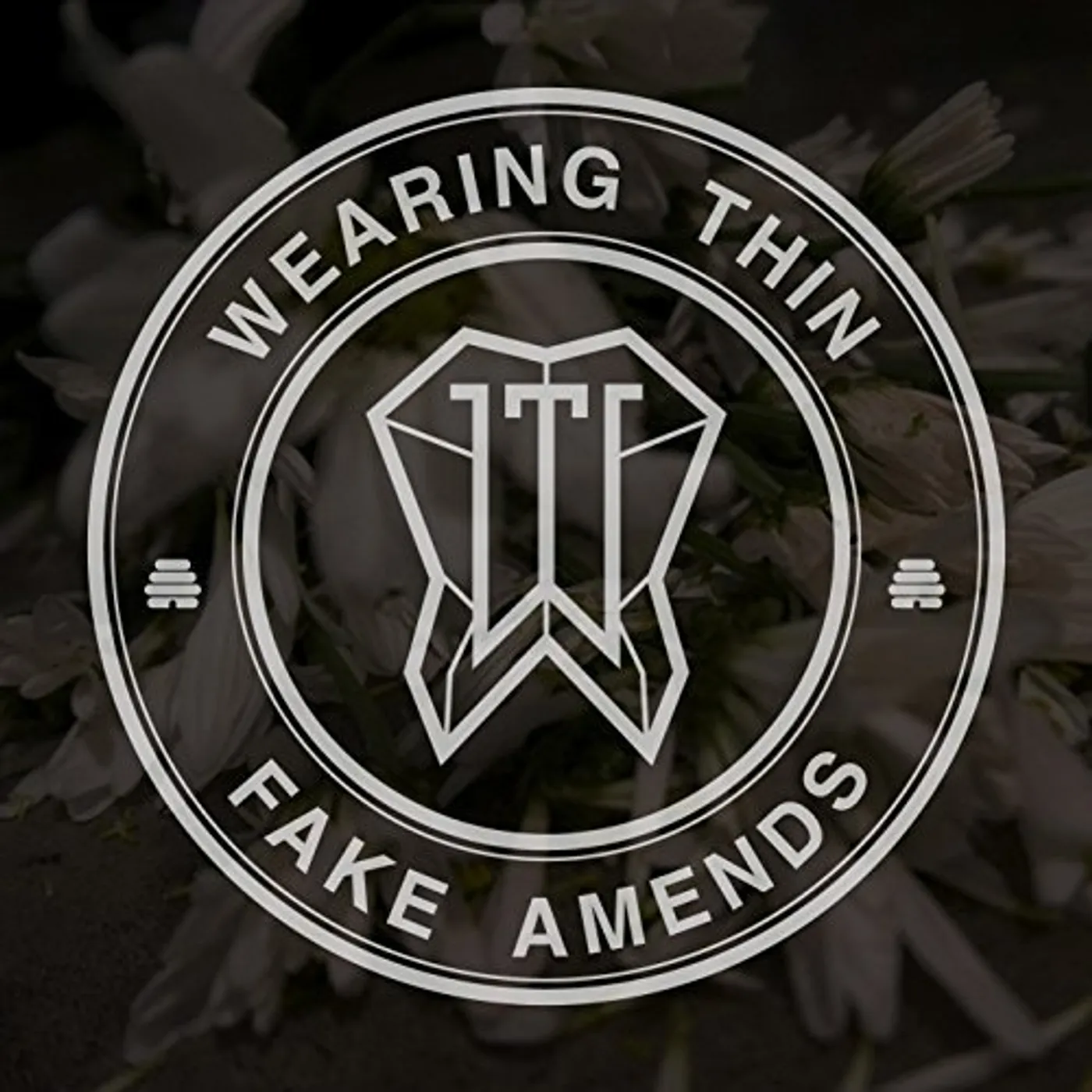 Wearing Thin FAKE AMENDS CD