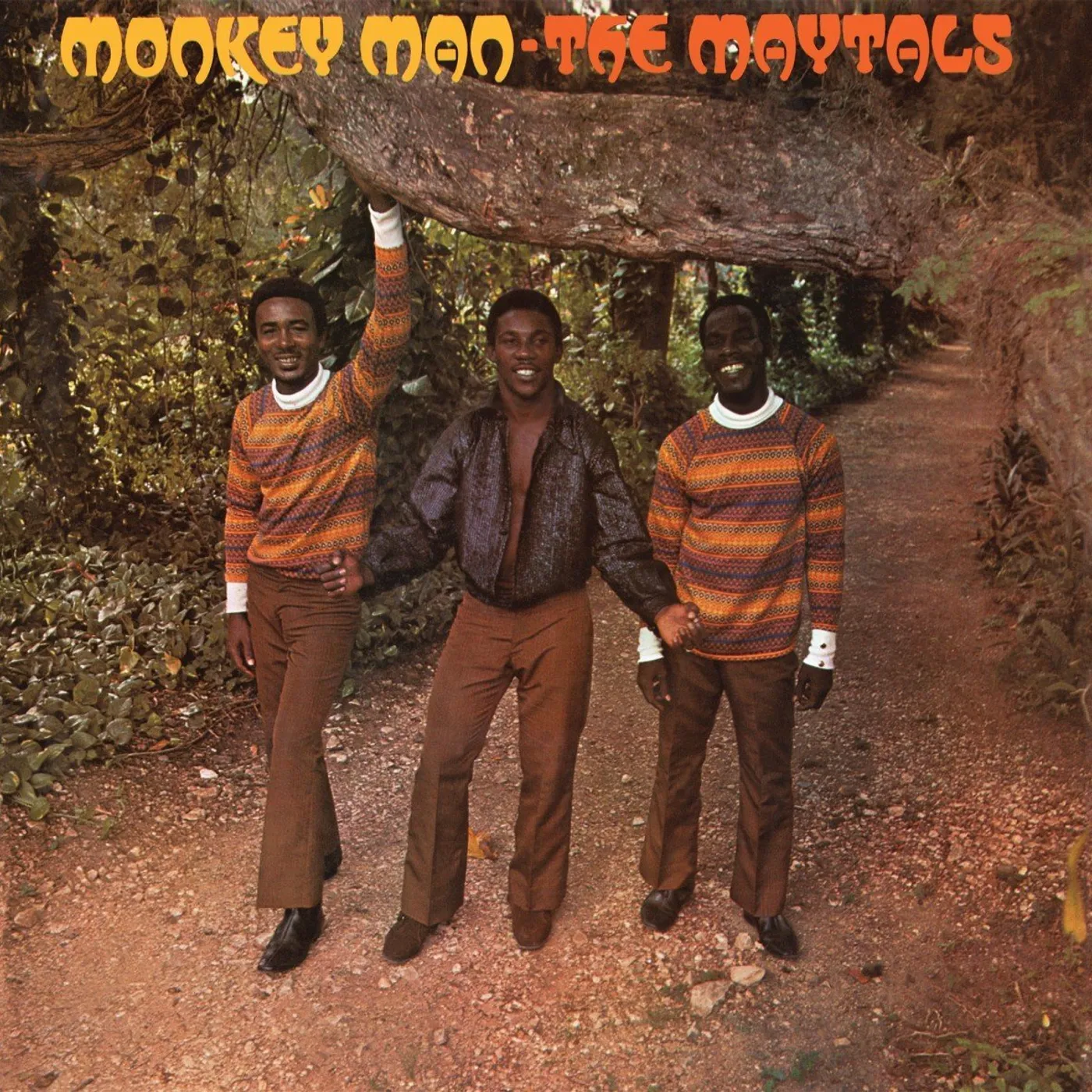 The Maytals Monkey Man Vinyl Record