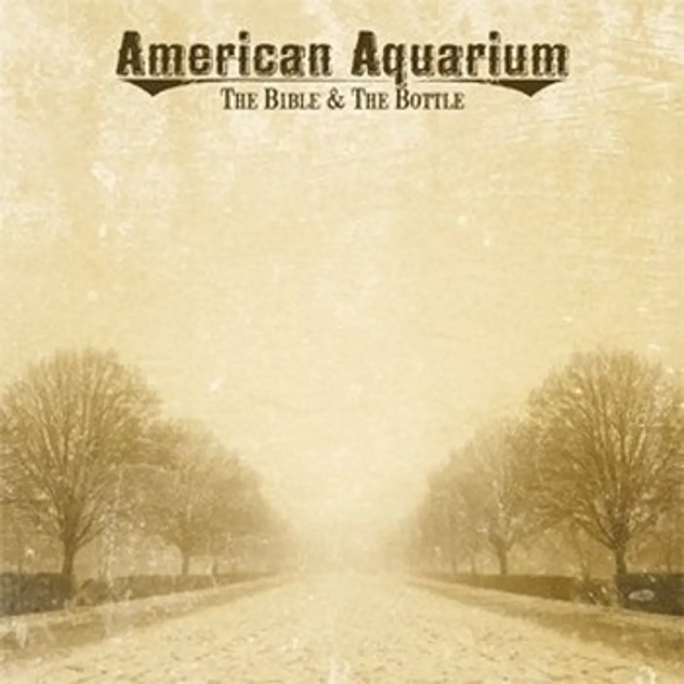 American Aquarium BIBLE & THE BOTTLE CD