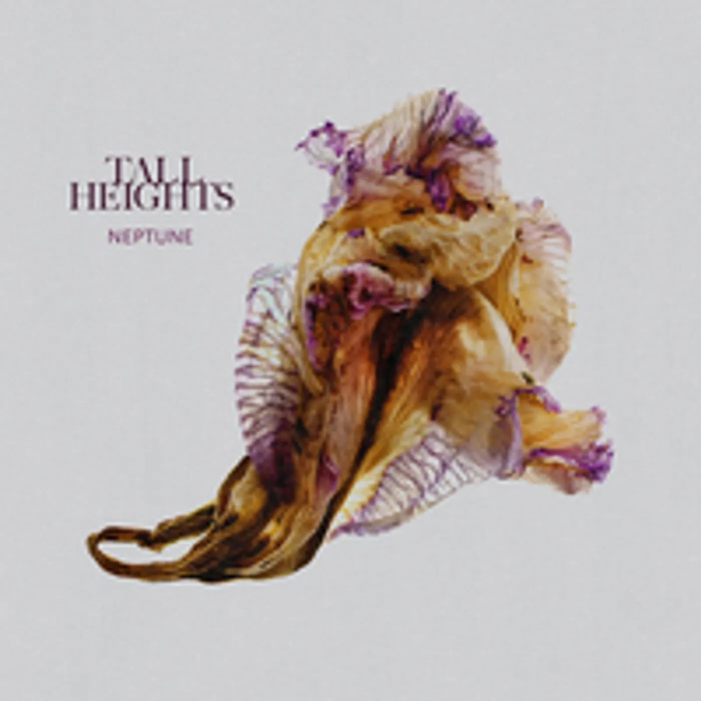 Tall Heights NEPTUNE CD