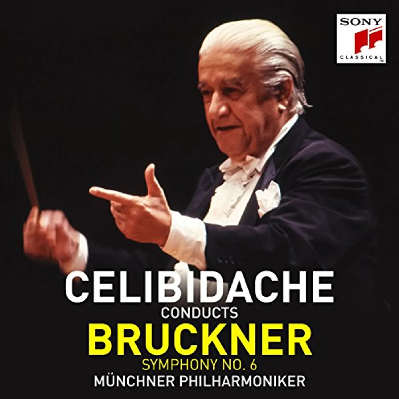 Bruckner / Sergiu Celibidache BRUCKNER: SYMPHONY 6 CD