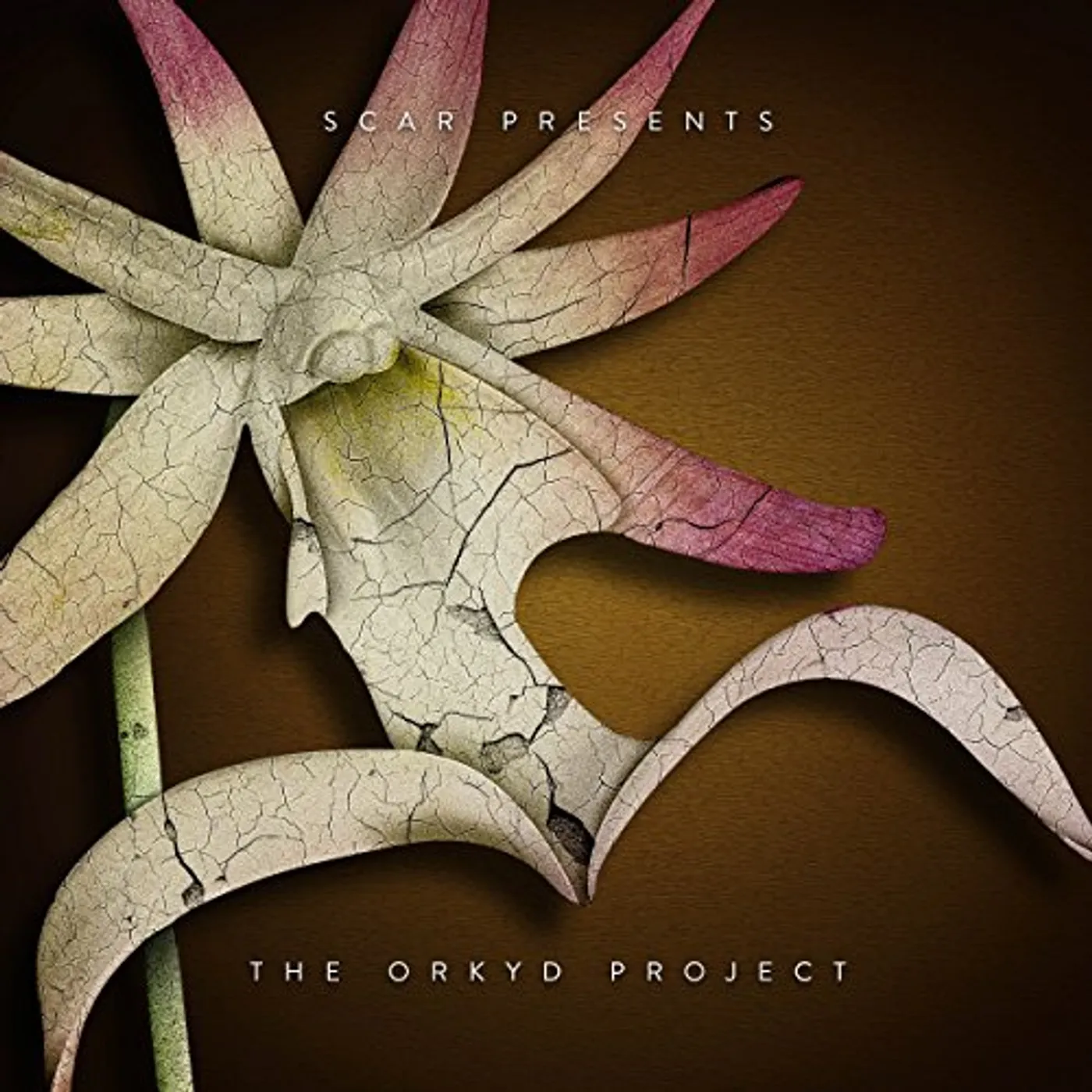 Scar ORKYD PROJECT CD