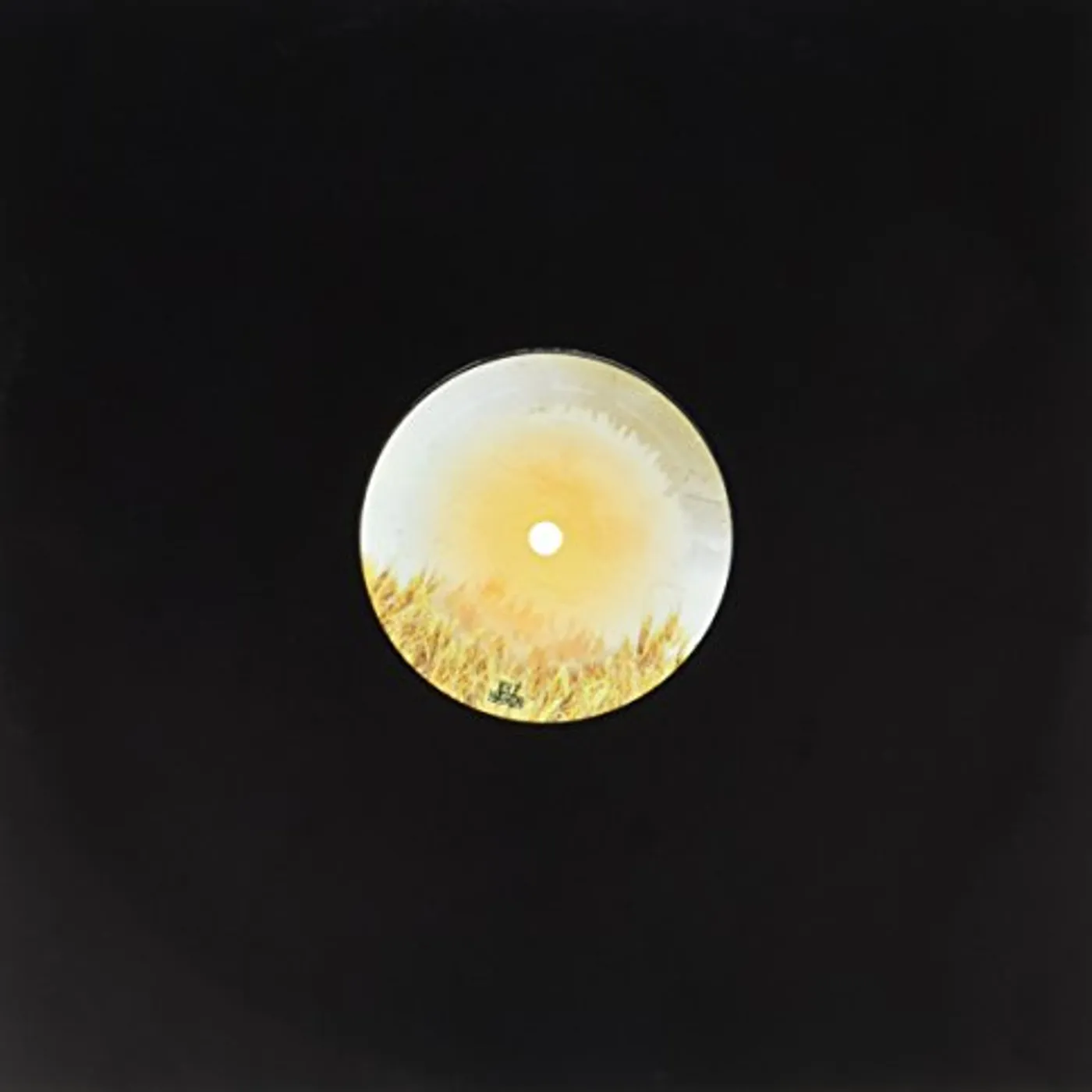 Om Unit Friend of Day Vinyl Record