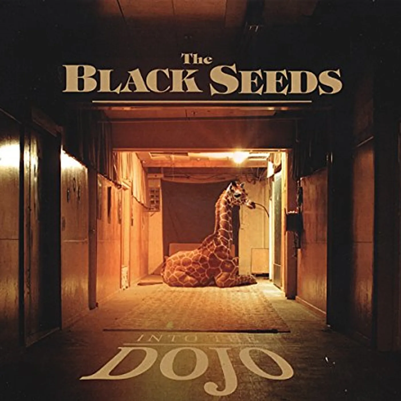 The Black Seeds INTO THE DOJO (GOLD VINYL) Vinyl Record - Colored Vinyl, Gold Vinyl, UK Release