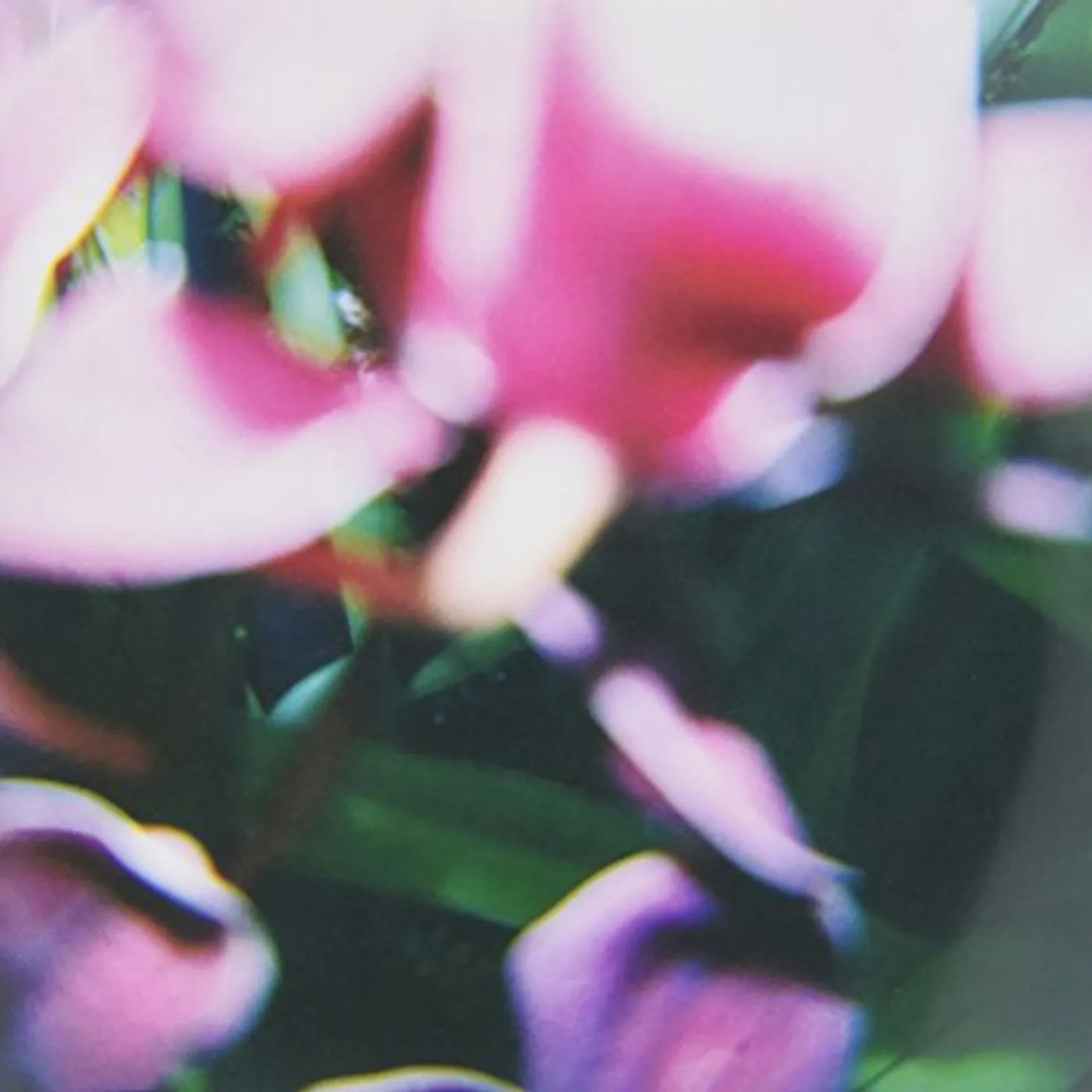 Trade Wind YOU MAKE EVERYTHING DISAPPEAR CD