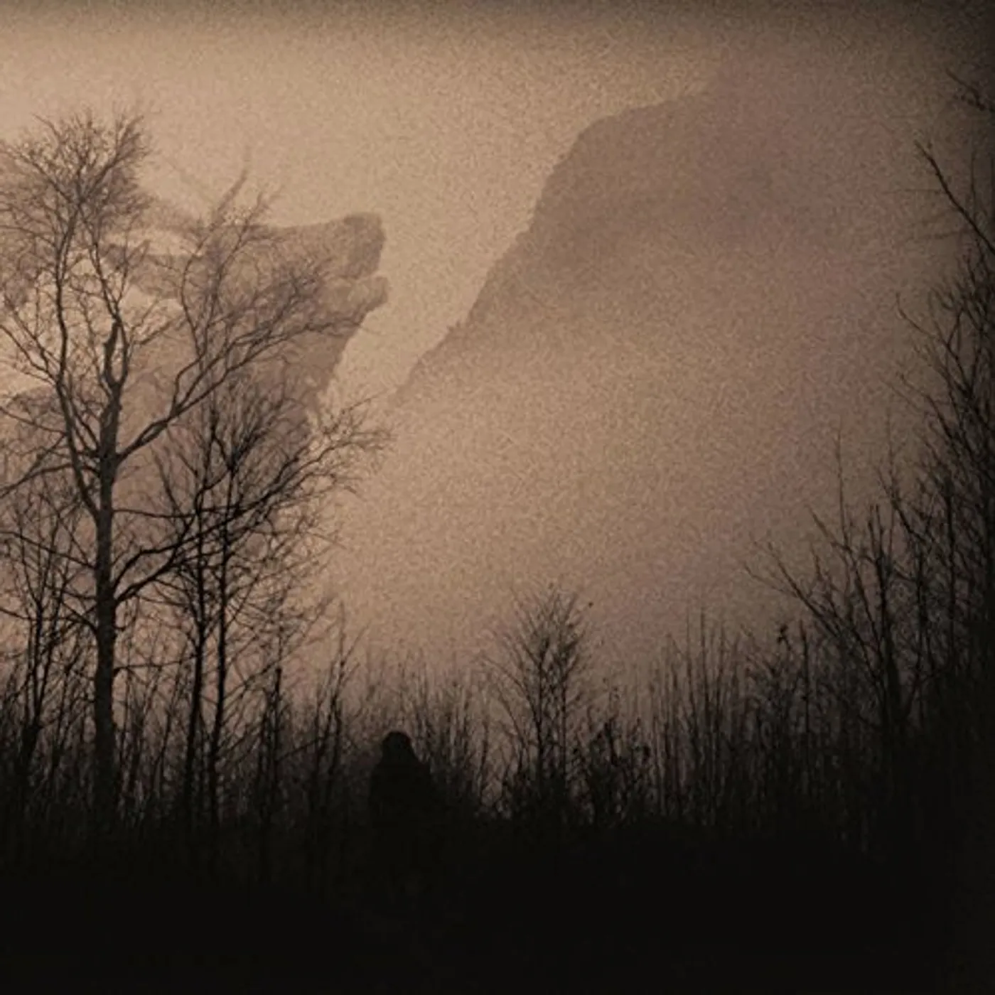 Antlers GAZE INTO THE ABYSS Vinyl Record