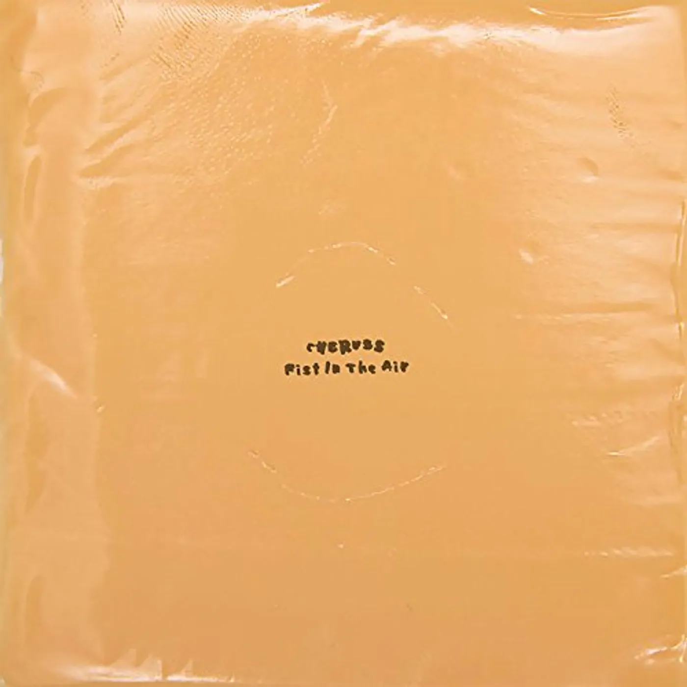 Cherubs Fist in the Air Vinyl Record