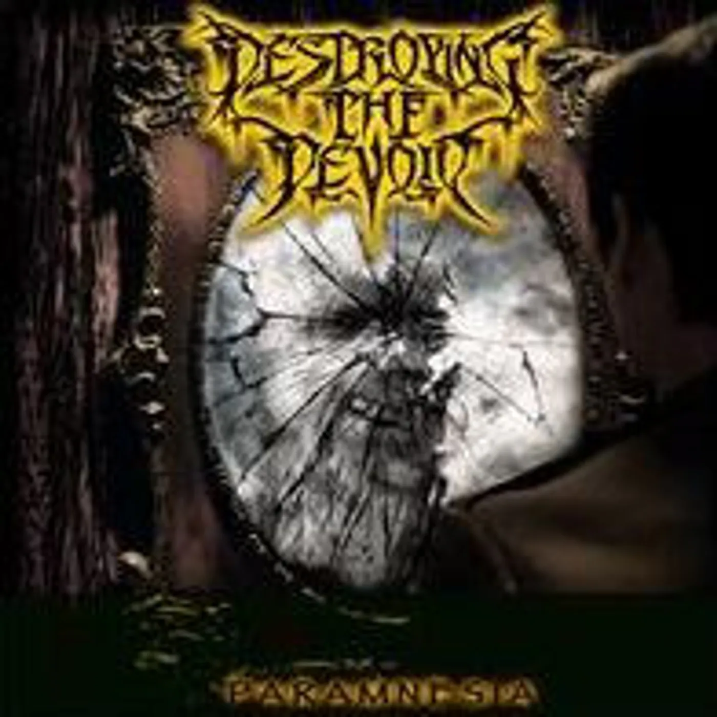 Destroying the Devoid Paramnesia Vinyl Record