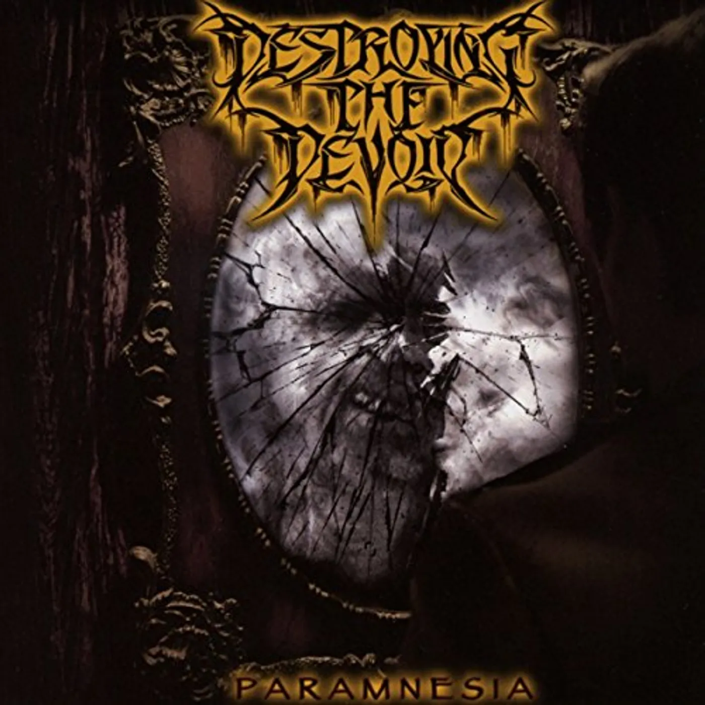 Destroying the Devoid PARAMNESIA CD