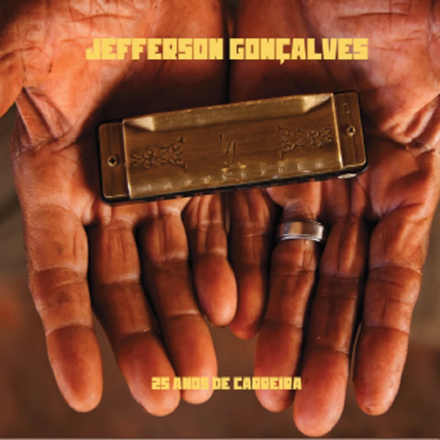 Jefferson Goncalves 25 Anos de Carreira Vinyl Record