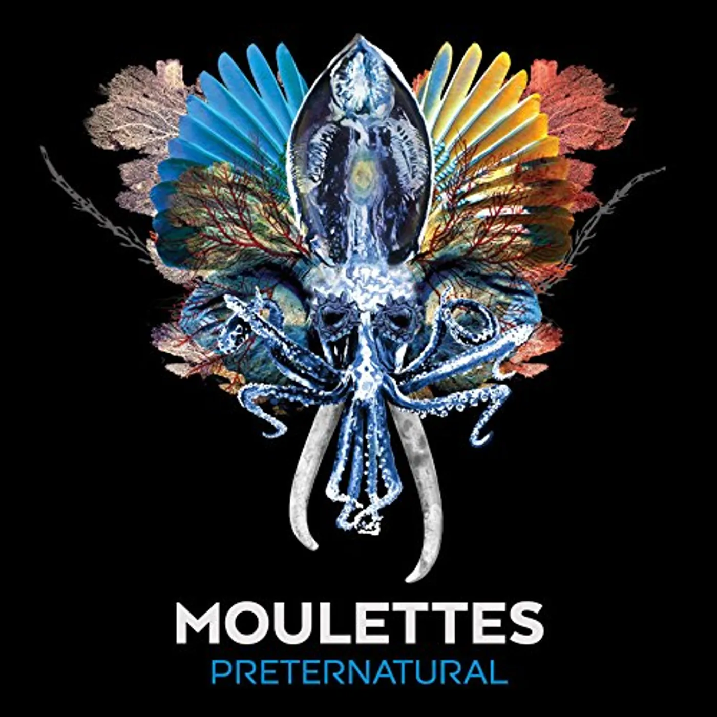 Moulettes PRETERNATURAL CD