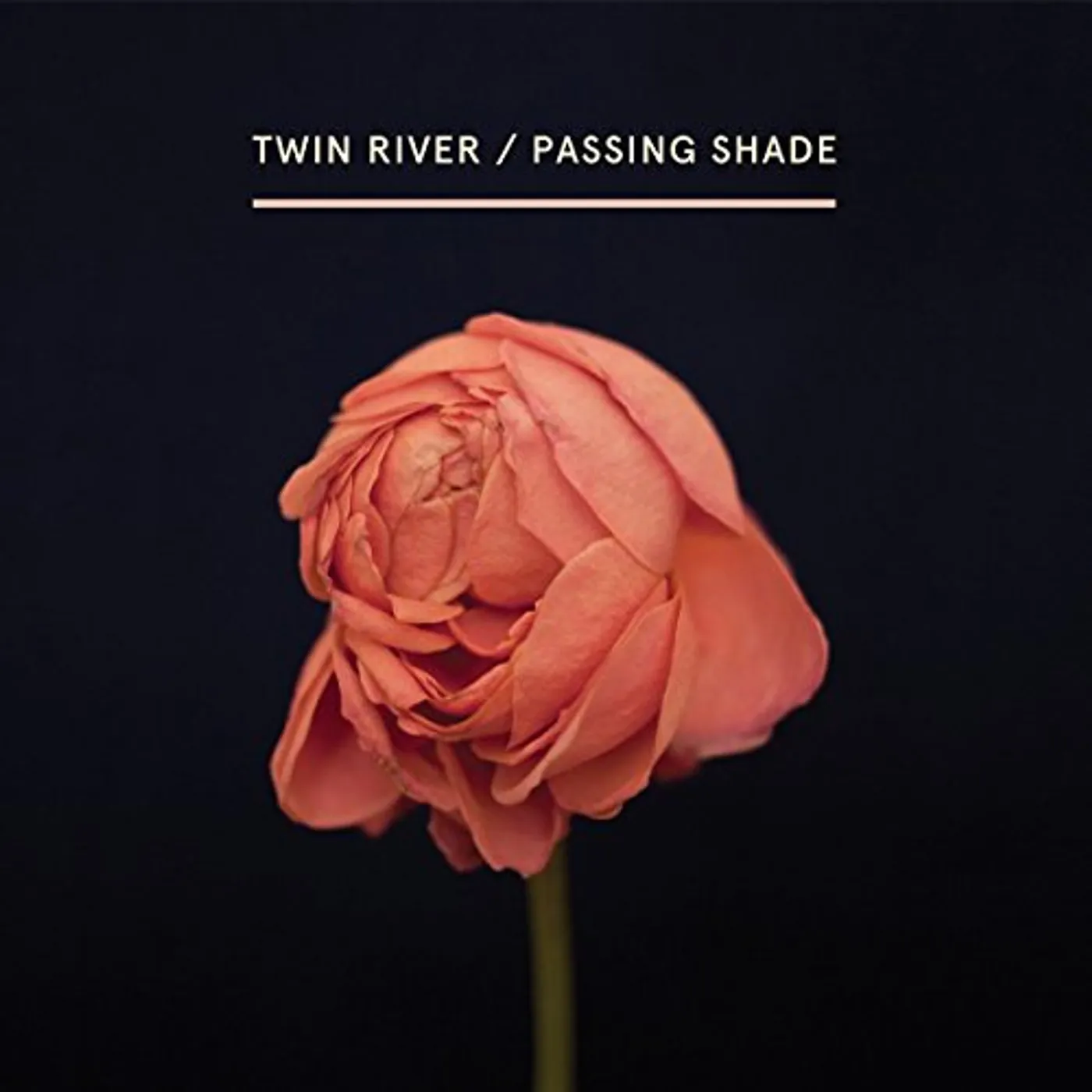 Twin River Passing Shade Vinyl Record