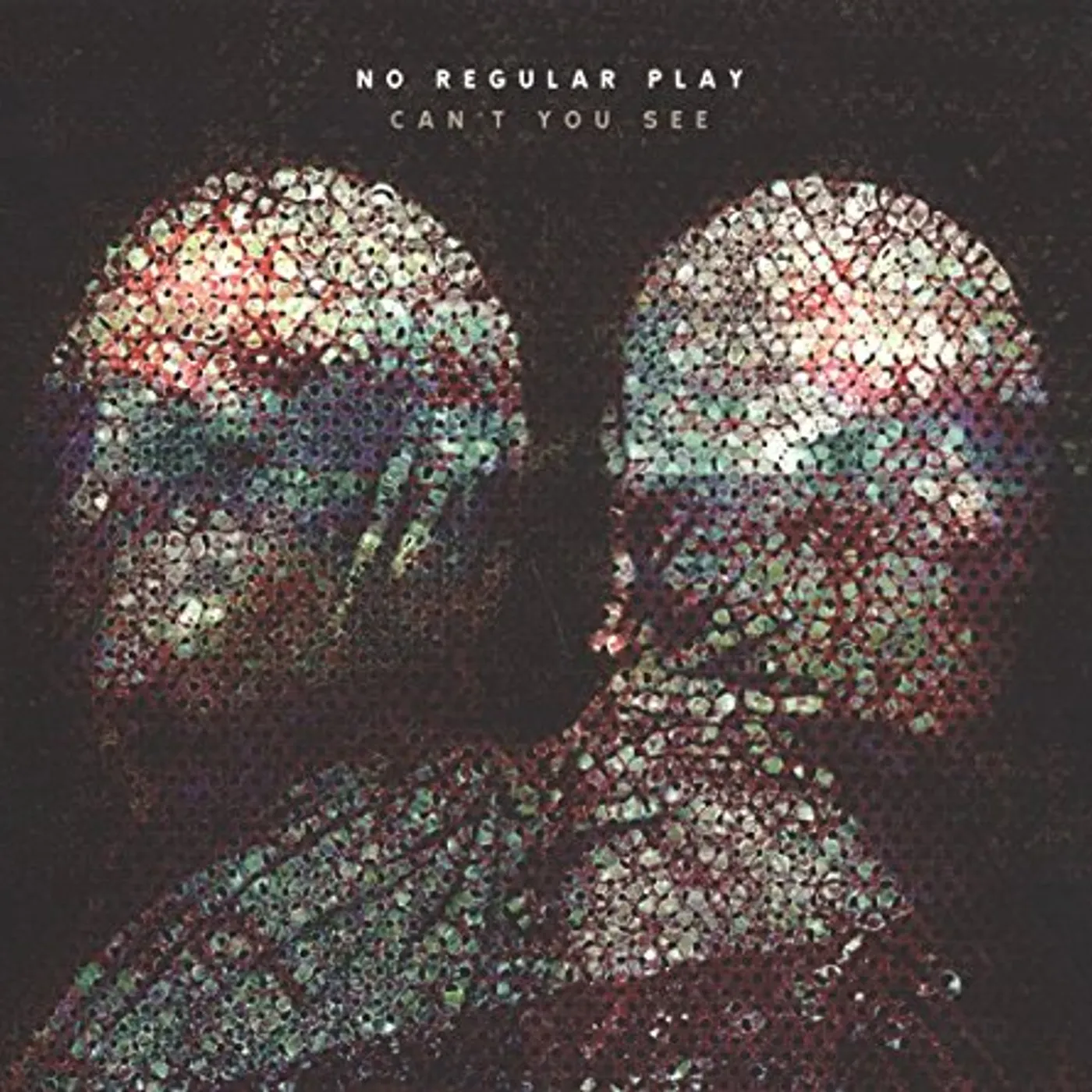 No Regular Play Can't You See Vinyl Record