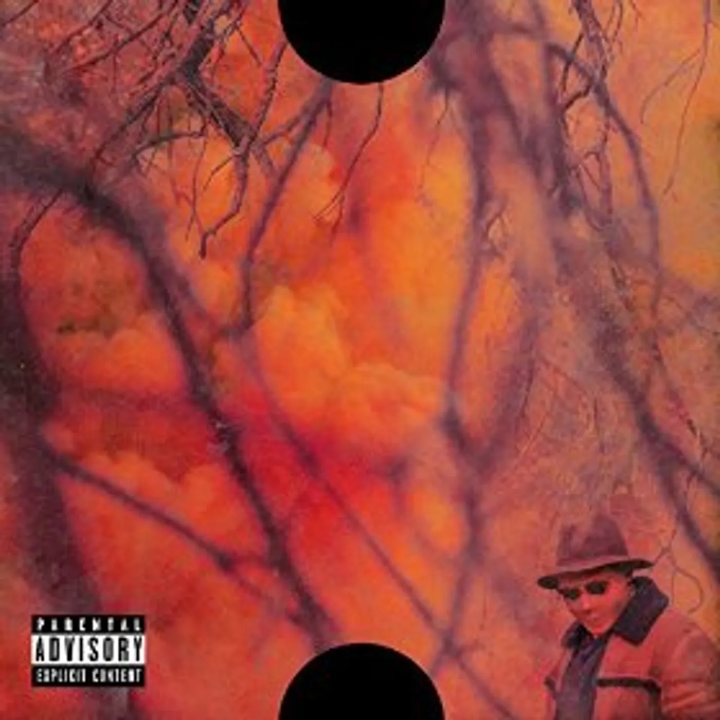 ScHoolboy Q BLANK FACE LP CD