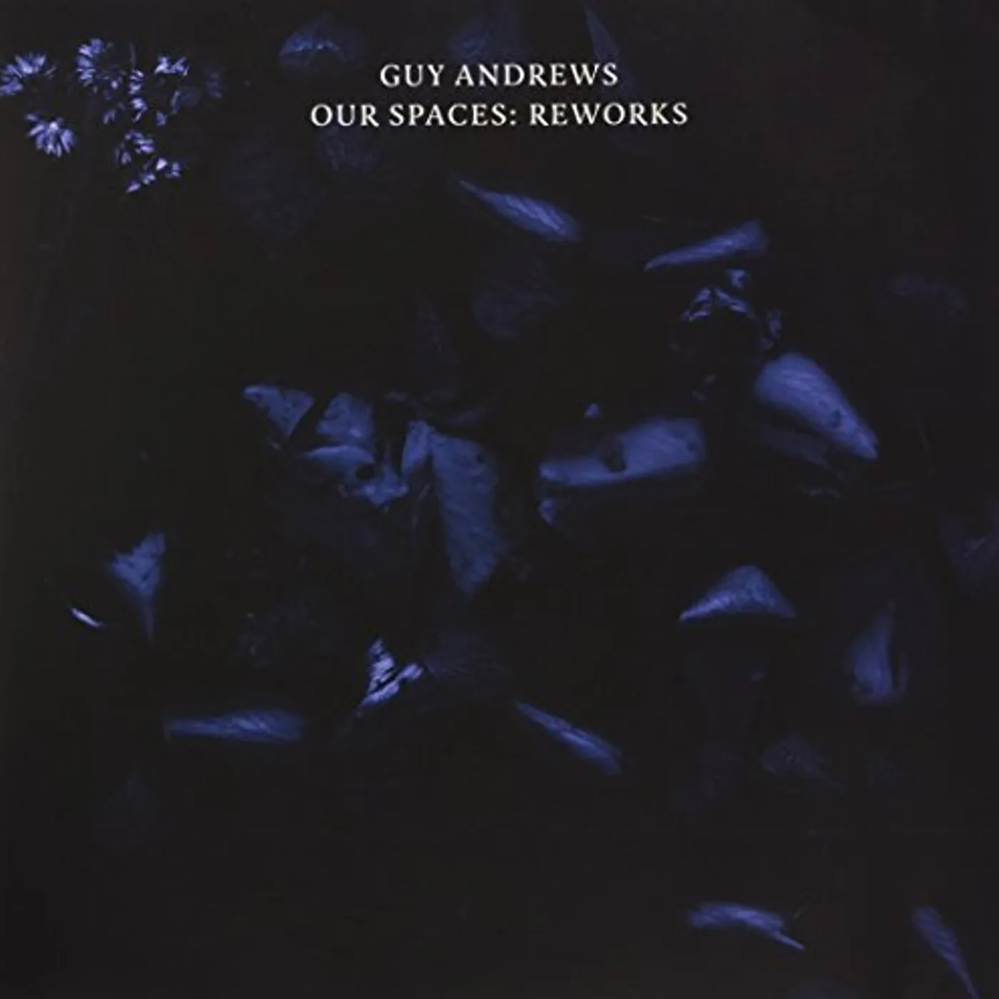 Guy Andrews Our Spaces: Reworks Vinyl Record