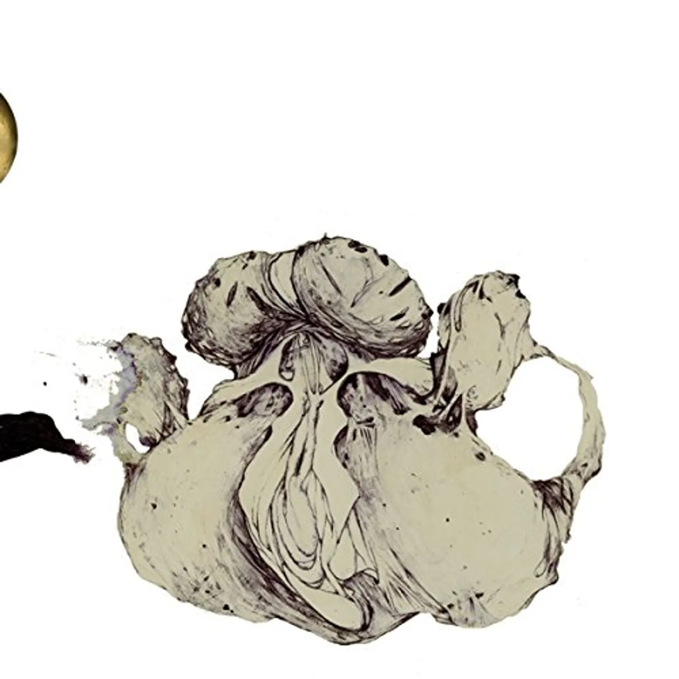 Coil APE OF NAPLES Vinyl Record