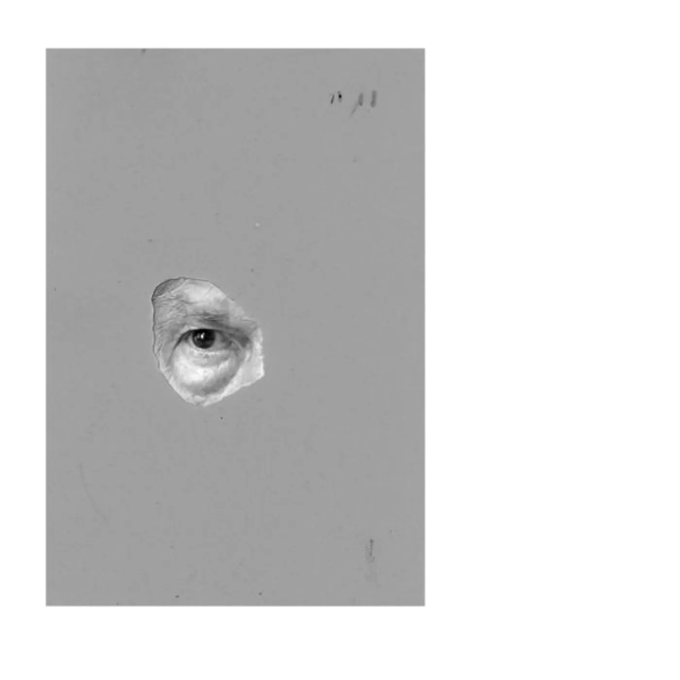 Roman Flügel Verschiebung Vinyl Record