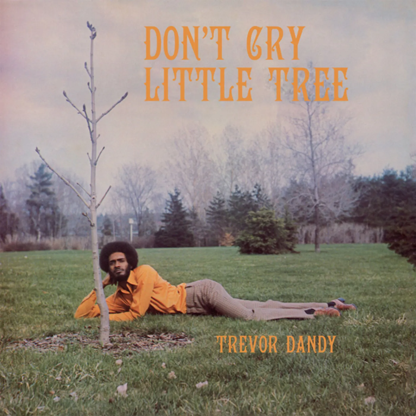 Trevor Dandy Don't Cry Little Tree Vinyl Record