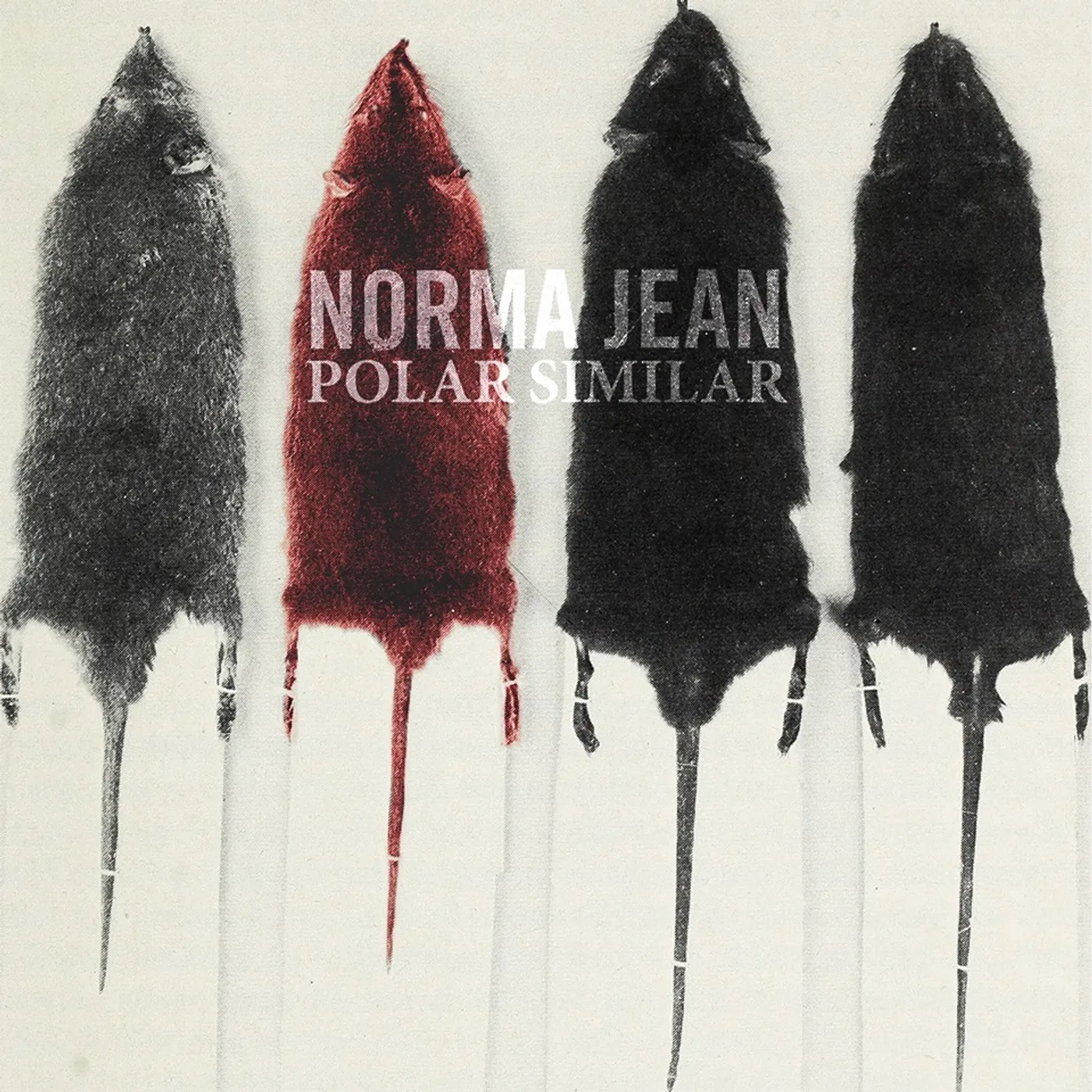 Norma Jean POLAR SIMILAR CD