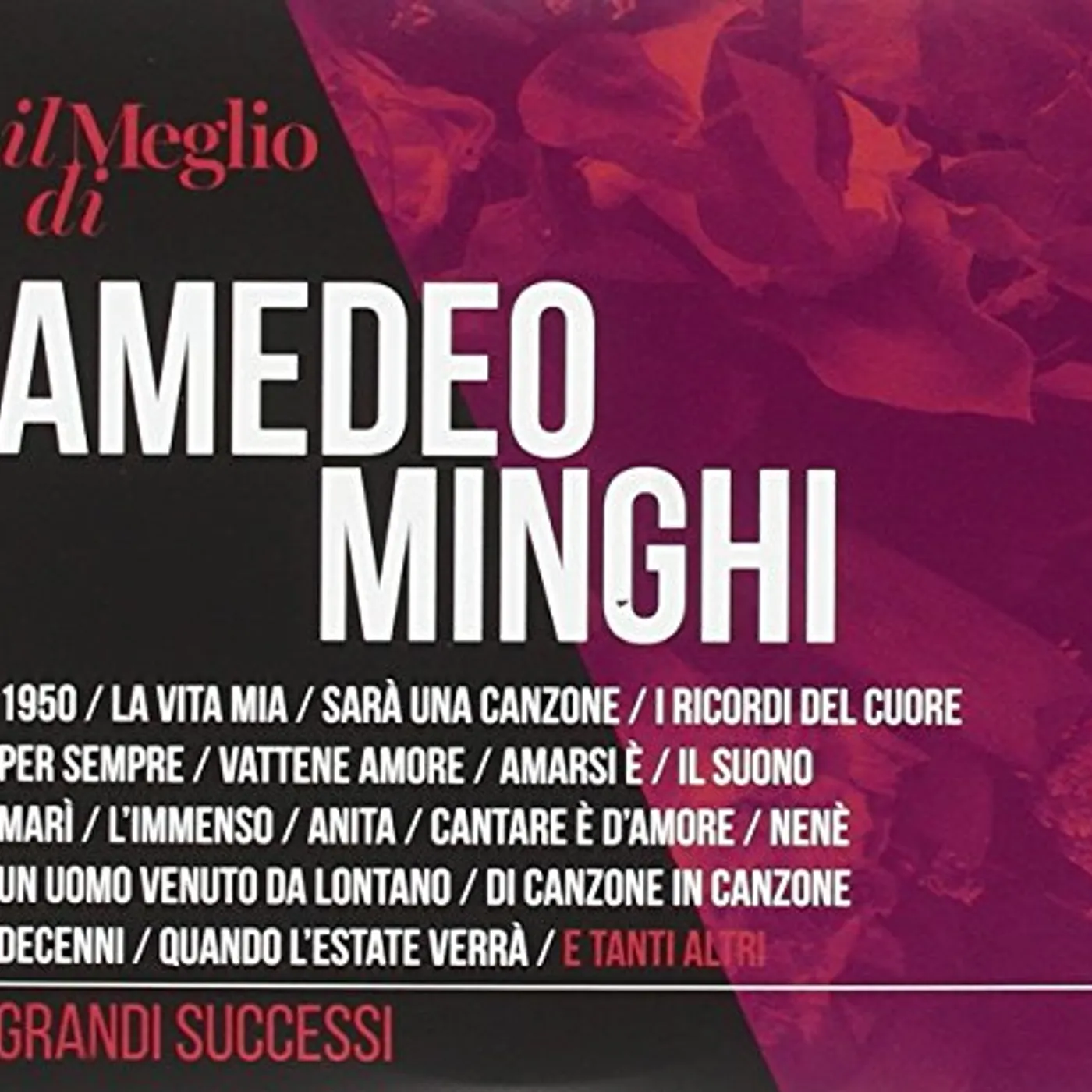 IL MEGLIO DI AMEDEO MINGHI: GRANDI SUCCESSI CD