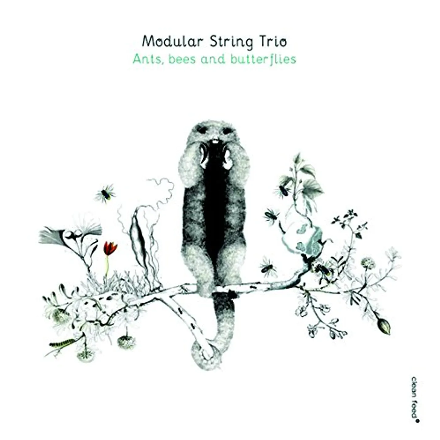 Modular String Trio ANTS BEES & BUTTERFLIES CD