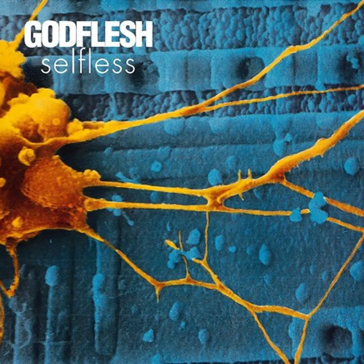 Godflesh Selfless Vinyl Record