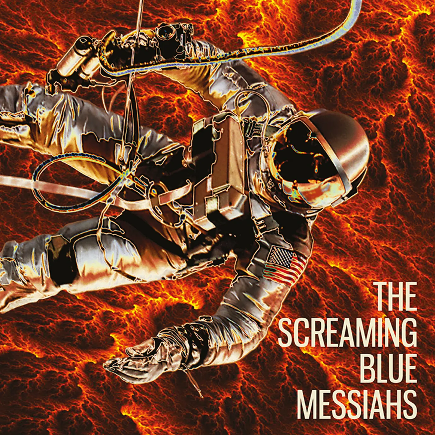 The Screaming Blue Messiahs VISION IN BLUES CD
