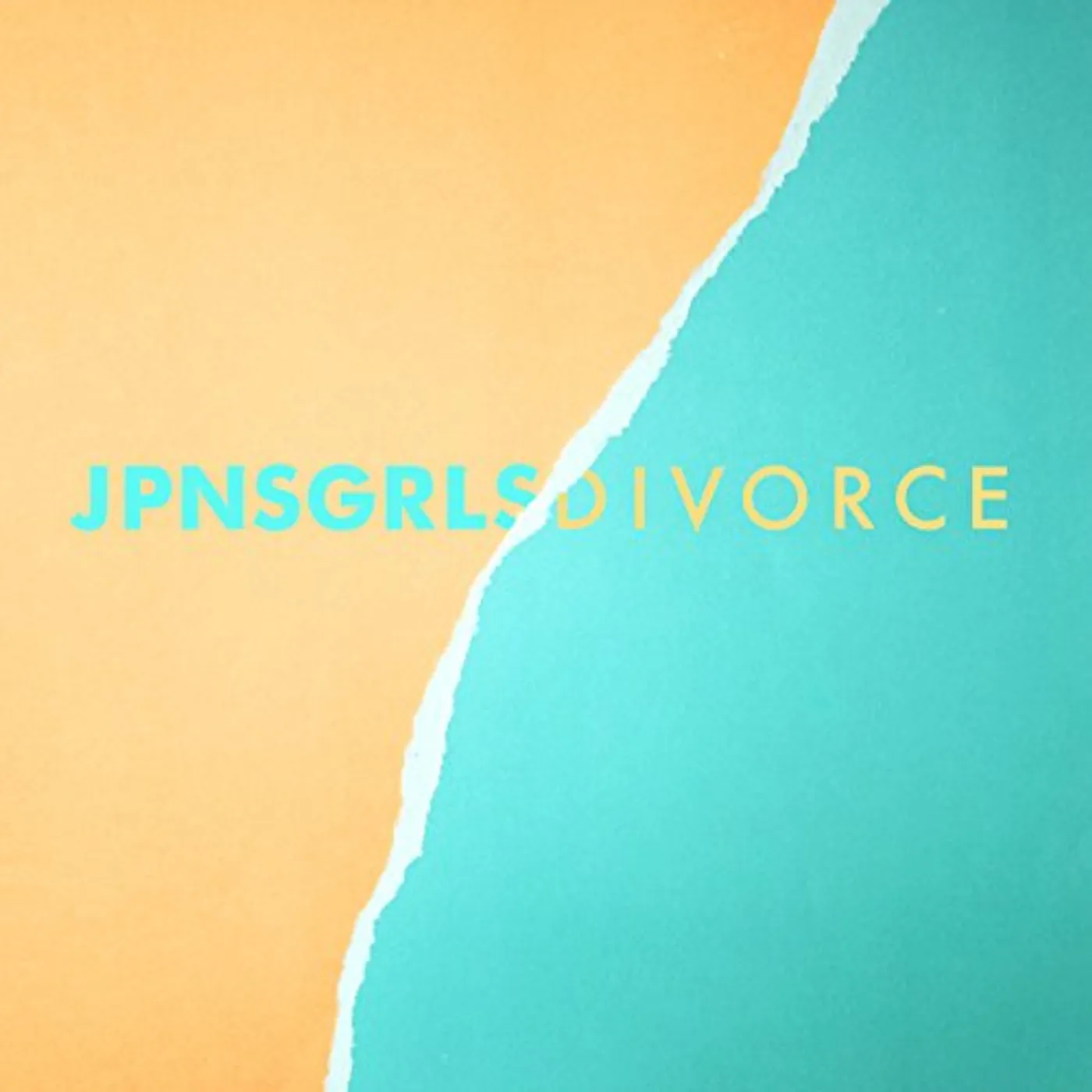 JPNSGRLS Divorce Vinyl Record