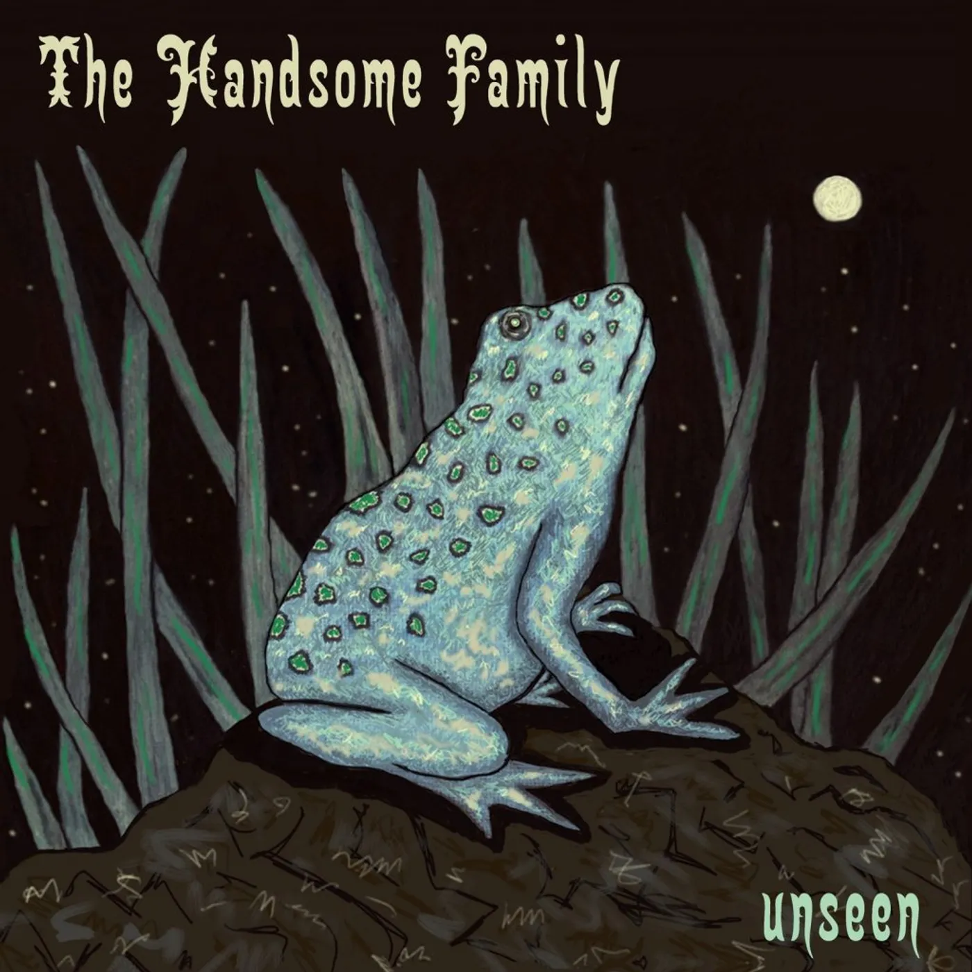 The Handsome Family Unseen Vinyl Record
