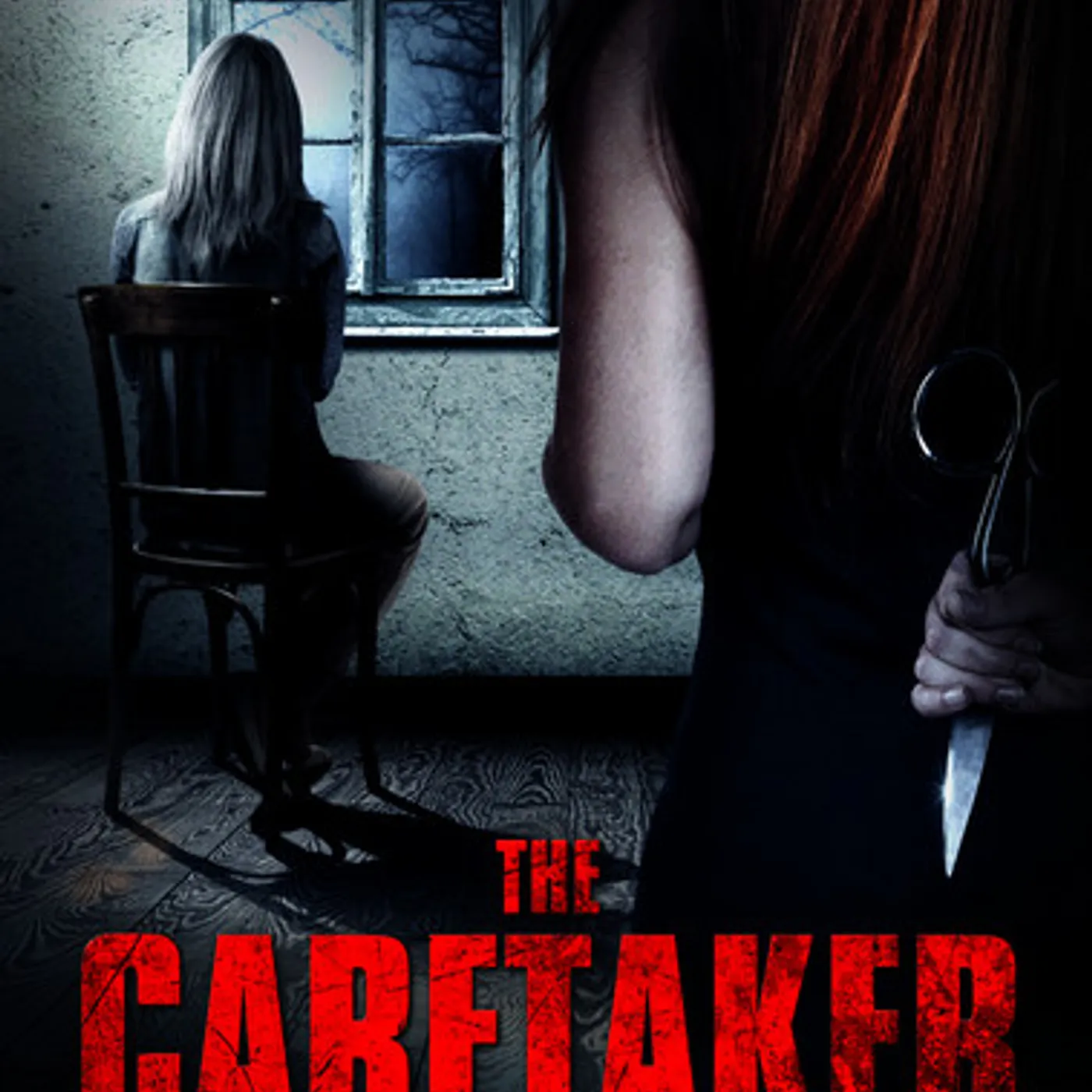 CARETAKER DVD