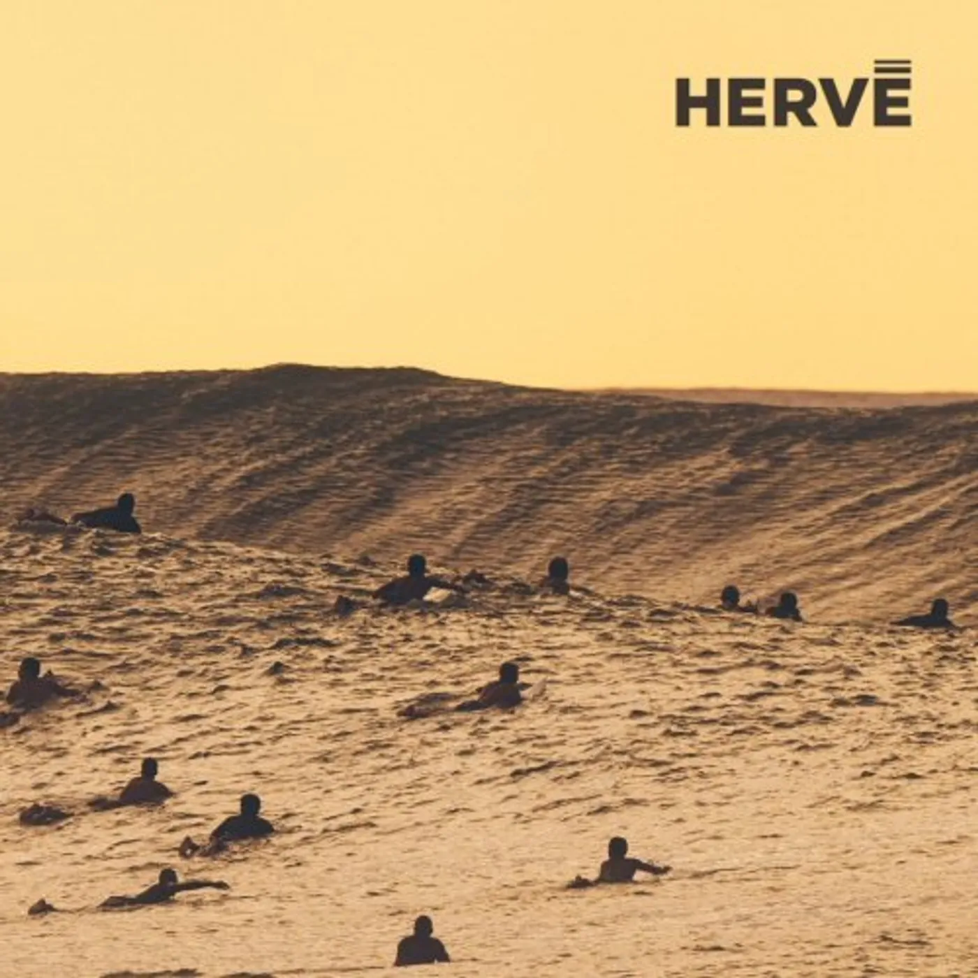 Herve HALLUCINATED SURF CD