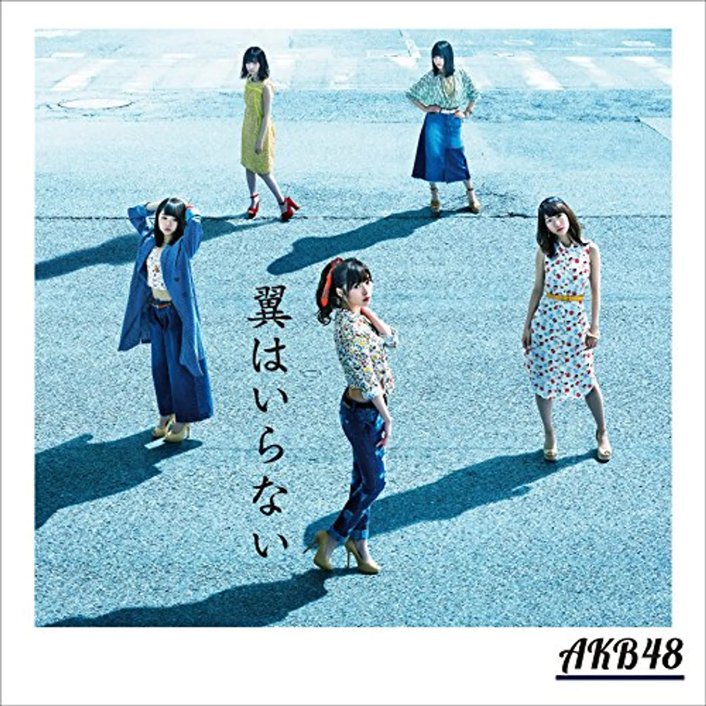 AKB48 TSUBASA HA IRANAI CD