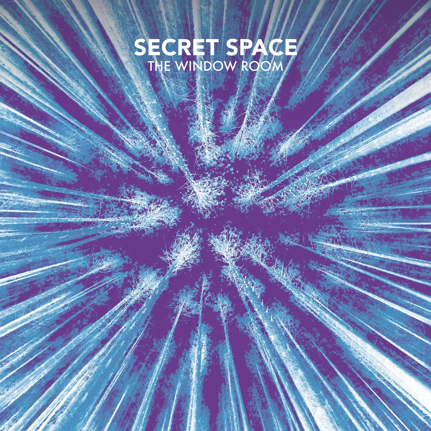 Secret Space WINDOW ROOM Vinyl Record