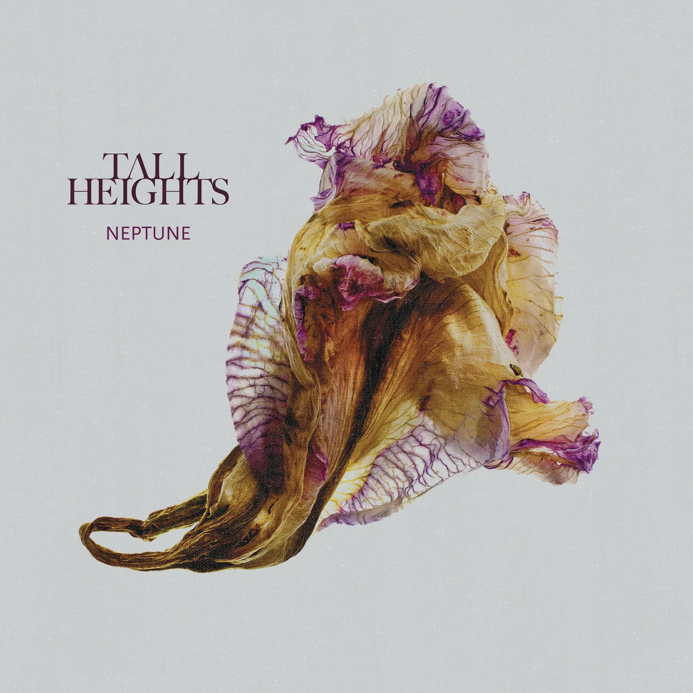 Tall Heights Neptune Vinyl Record