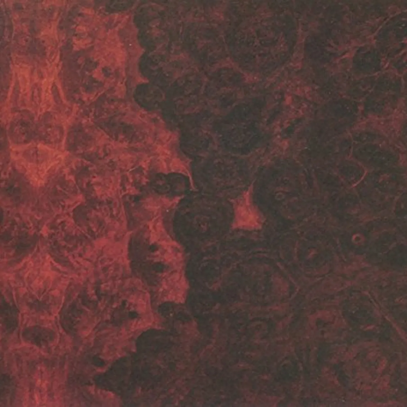 True Widow AVVOLGERE CD