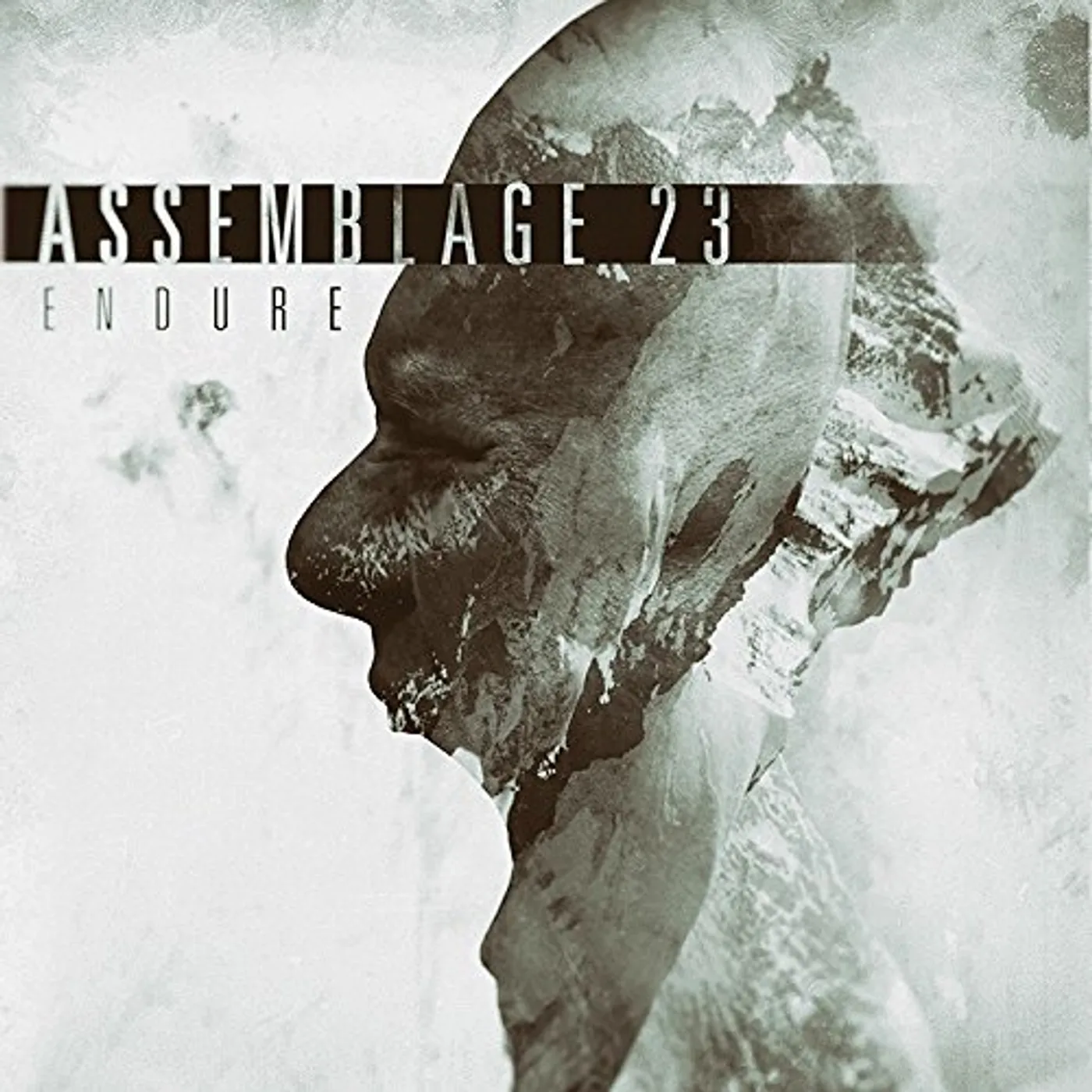 Assemblage 23 ENDURE CD