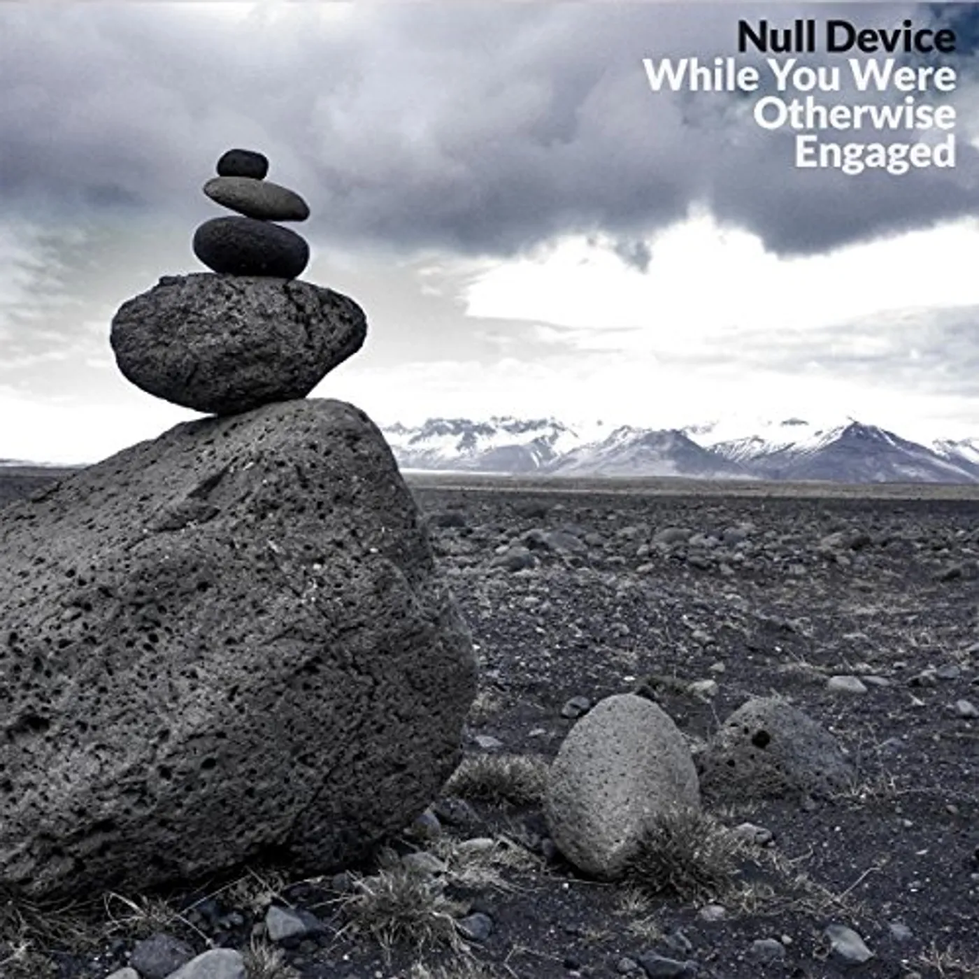 Null Device WHILE YOU WERE OTHERWISE ENGAGED CD