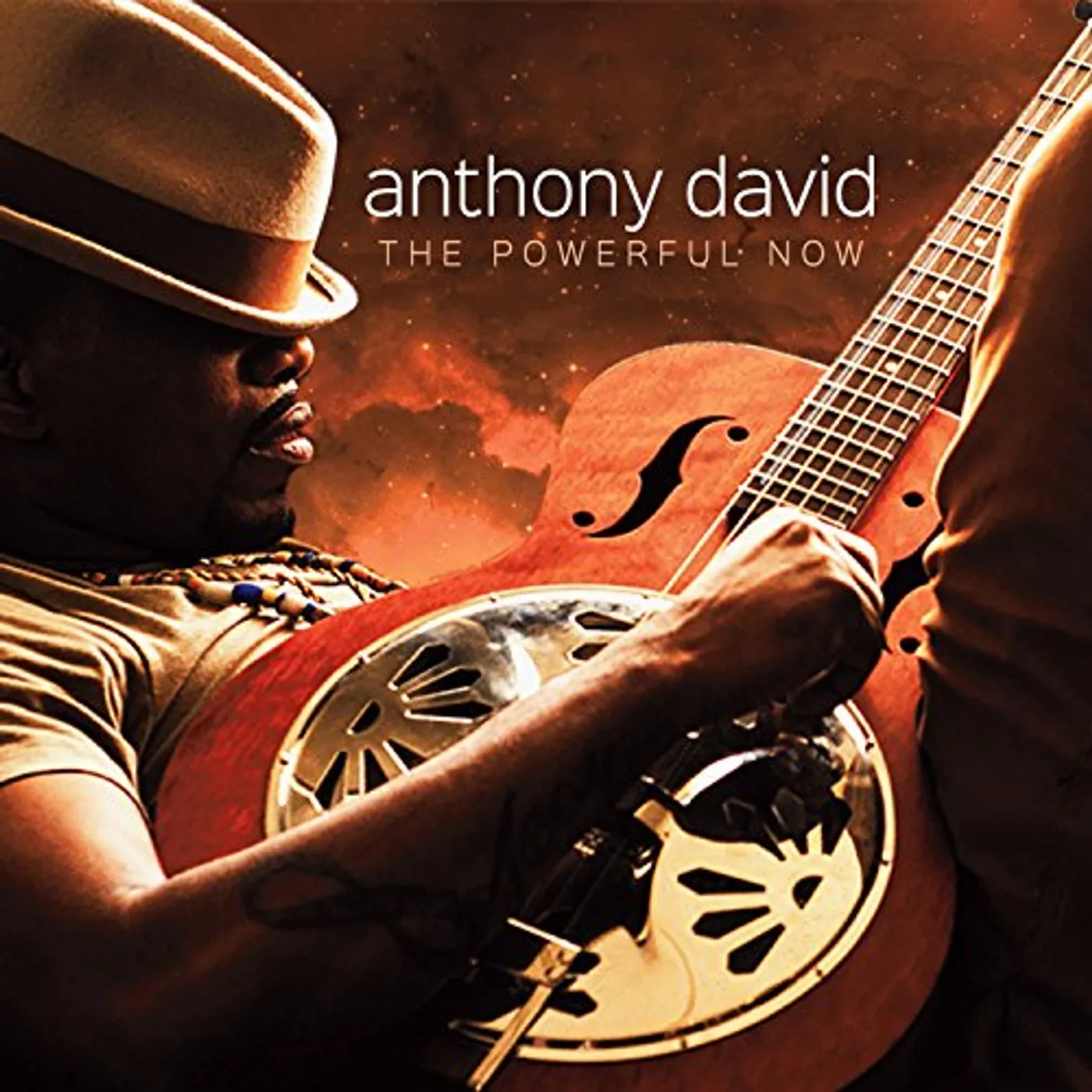 Anthony David POWERFUL NOW CD