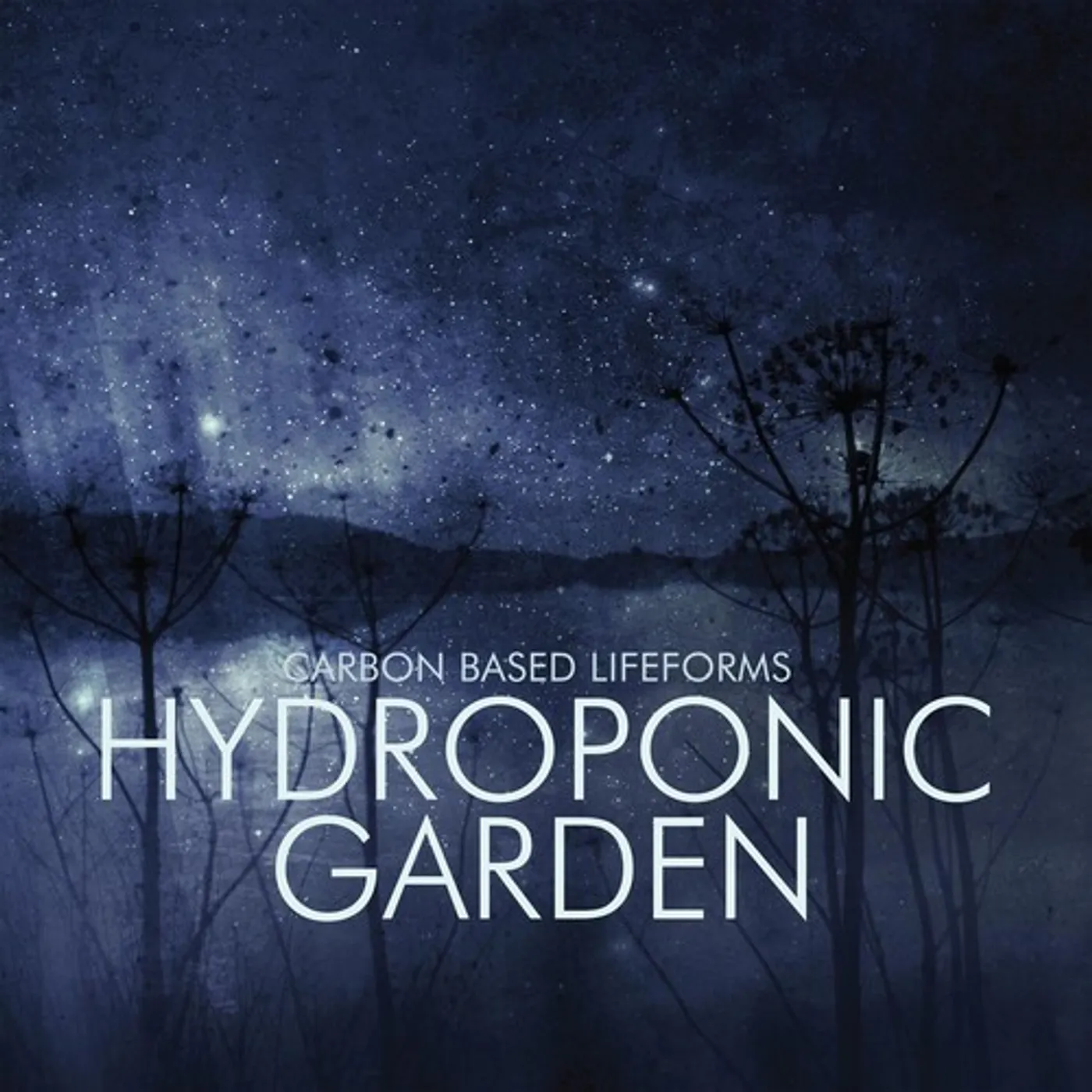 Carbon Based Lifeforms Hydroponic Garden Vinyl Record