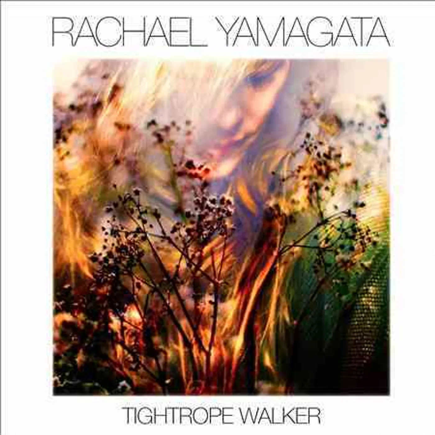 Rachael Yamagata TIGHTROPE WALKER CD