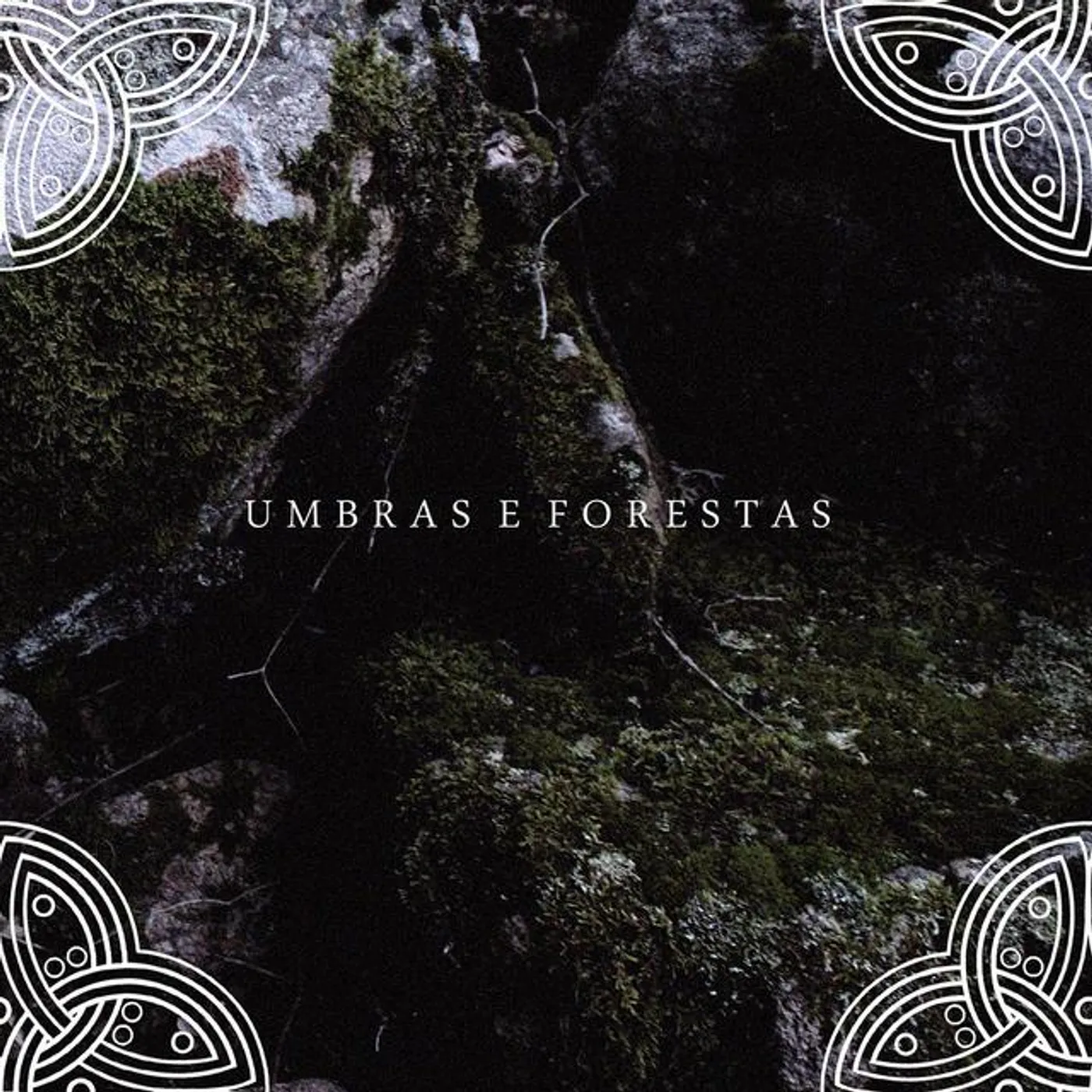 Downfall of Nur Umbras e Forestas Vinyl Record