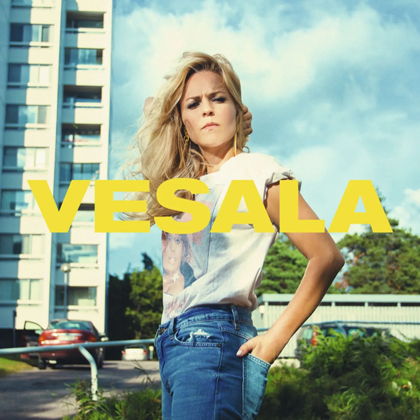 Vesala Vinyl Record
