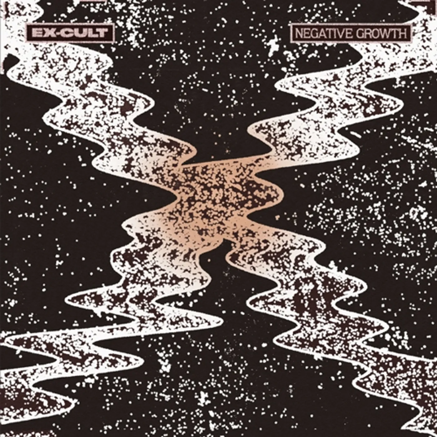 Ex-Cult Negative Growth Vinyl Record