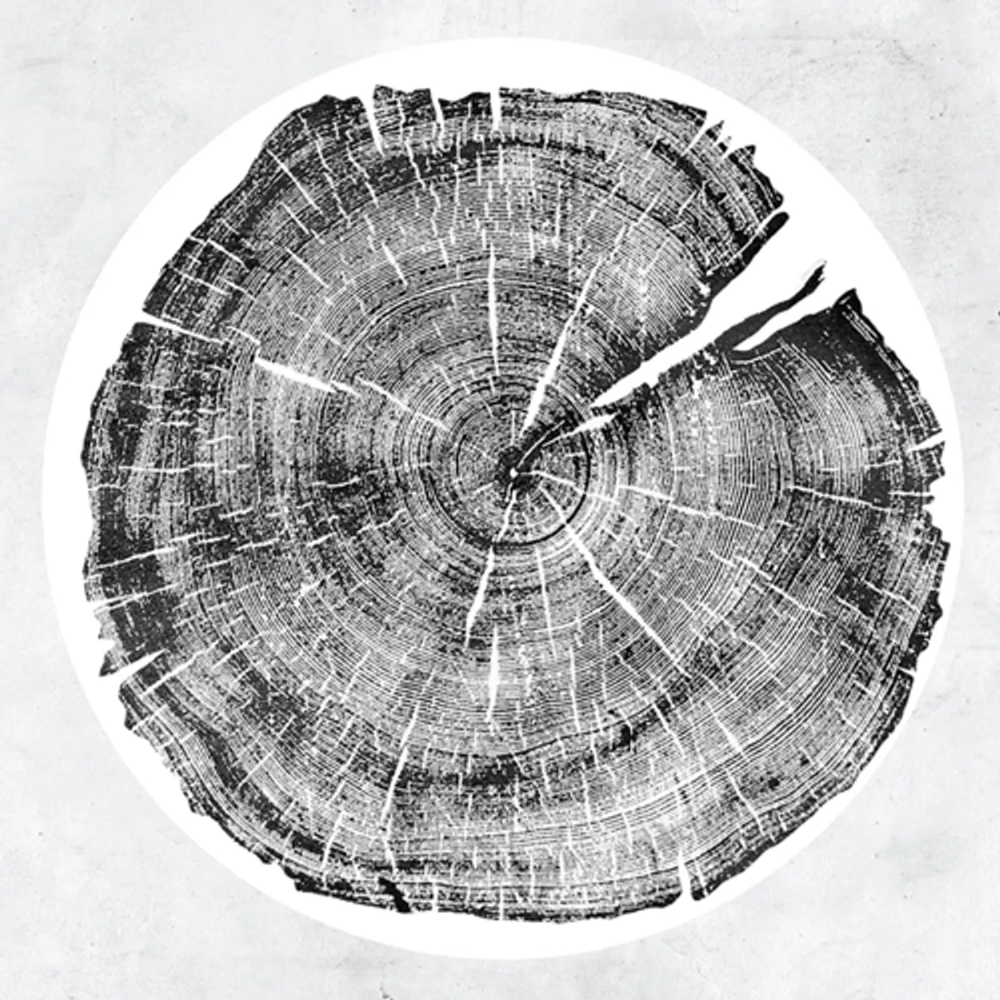 Roy Montgomery M: Darkmotif Dancehall Vinyl Record