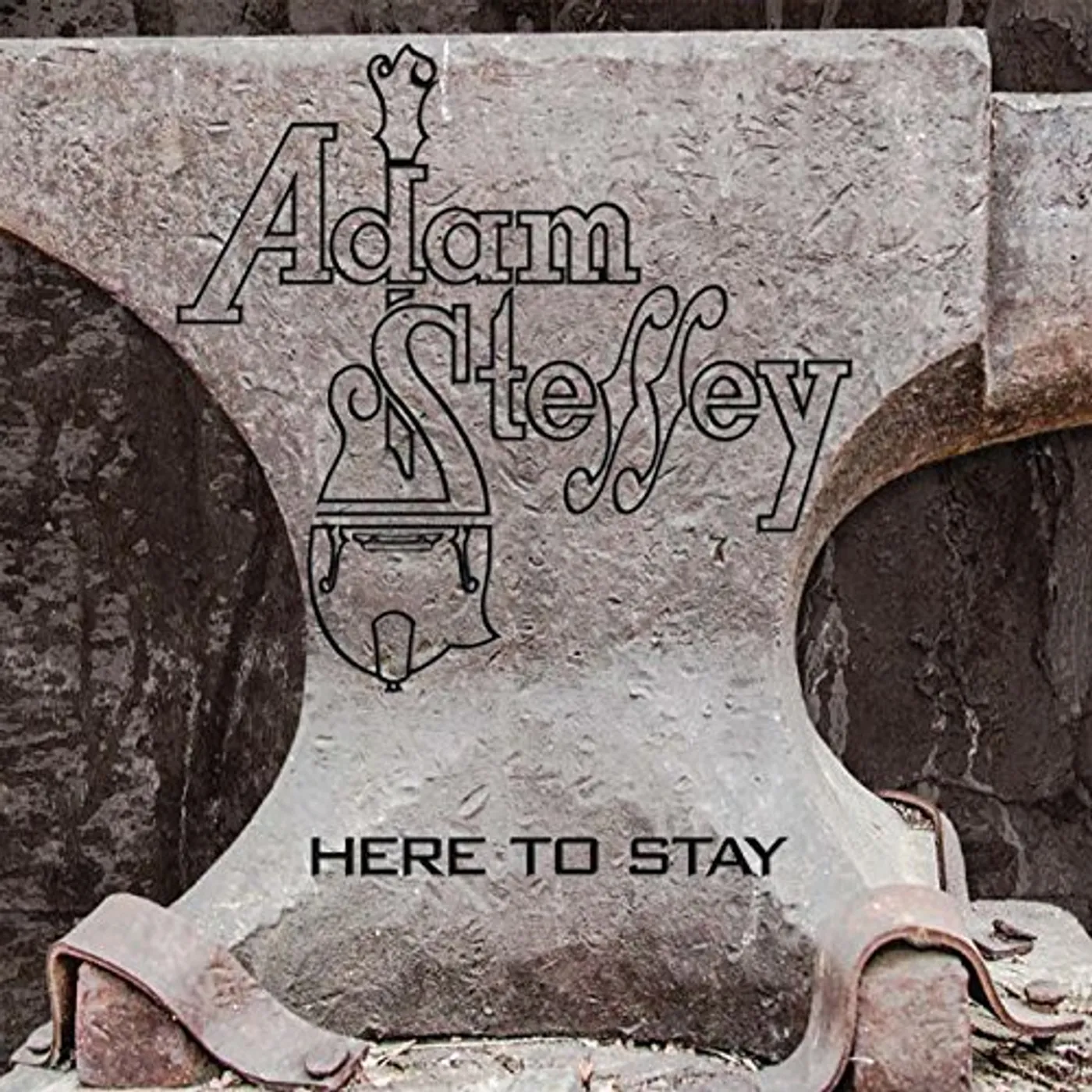Adam Steffey HERE TO STAY CD